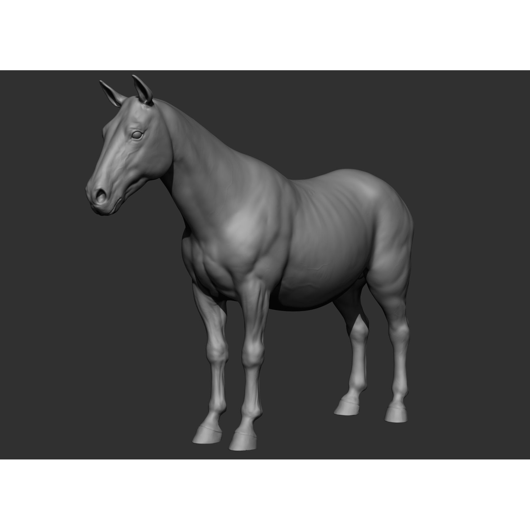 6 Horse Types - High-Poly 3D Model - View 113