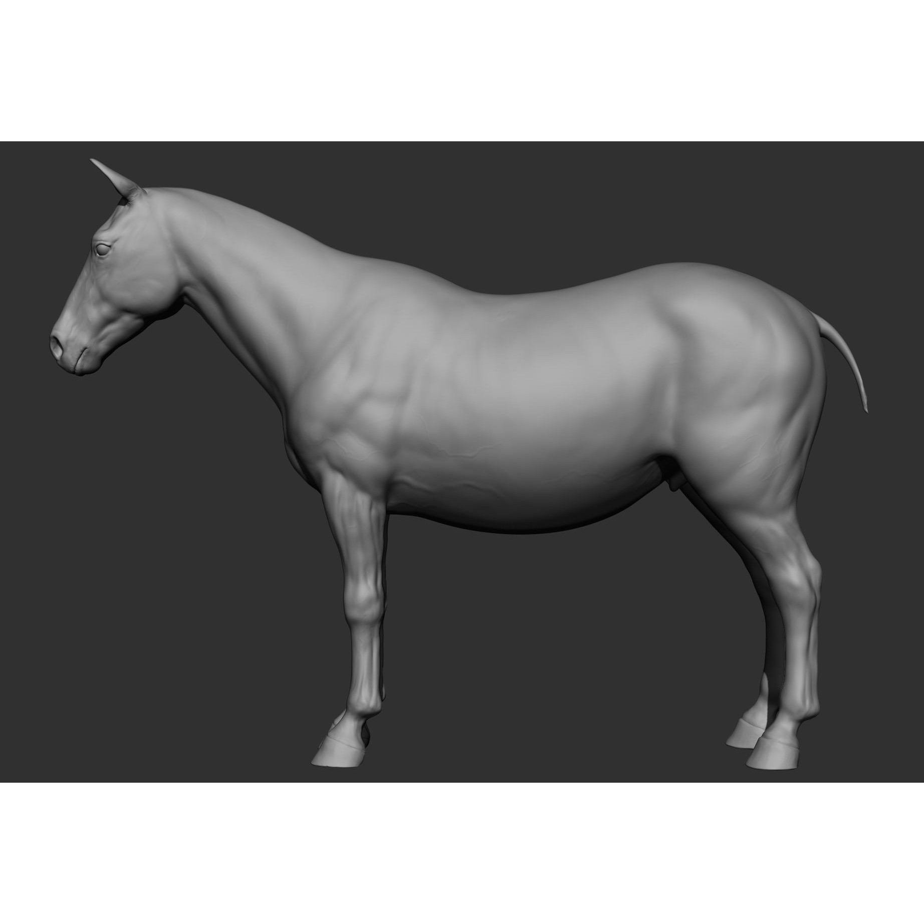 6 Horse Types - High-Poly 3D Model - View 114