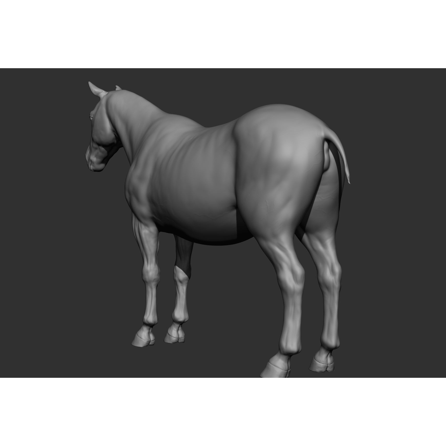 6 Horse Types - High-Poly 3D Model - View 115