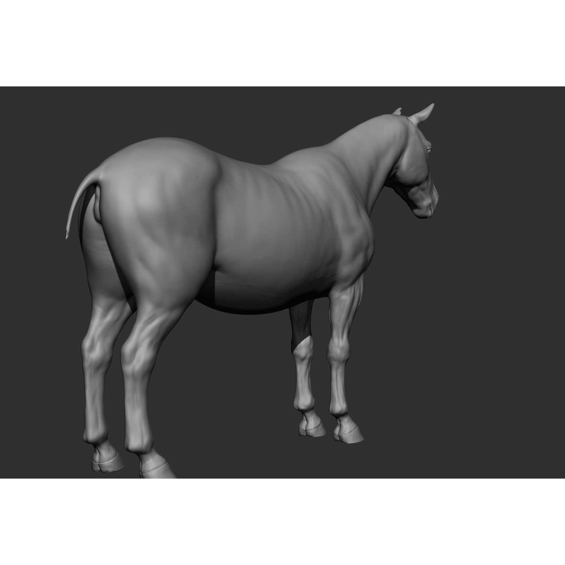 6 Horse Types - High-Poly 3D Model - View 116
