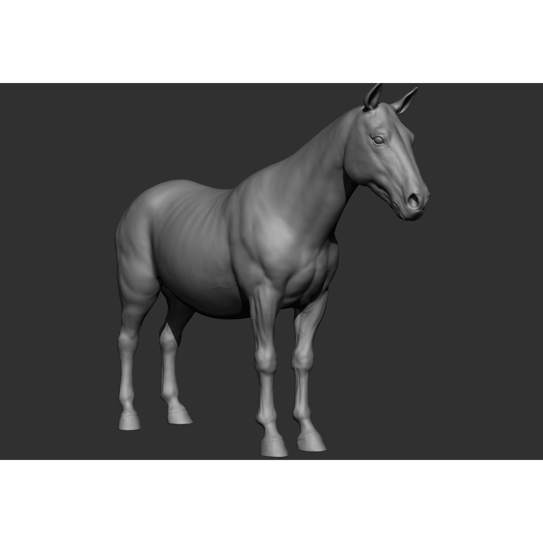 6 Horse Types - High-Poly 3D Model - View 117