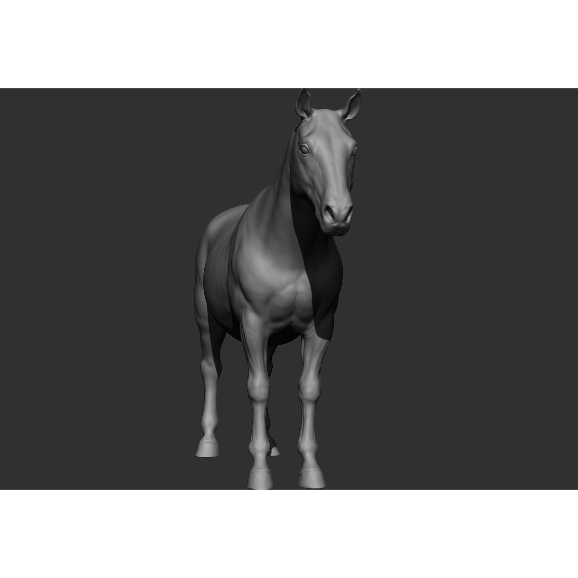 6 Horse Types - High-Poly 3D Model - View 118