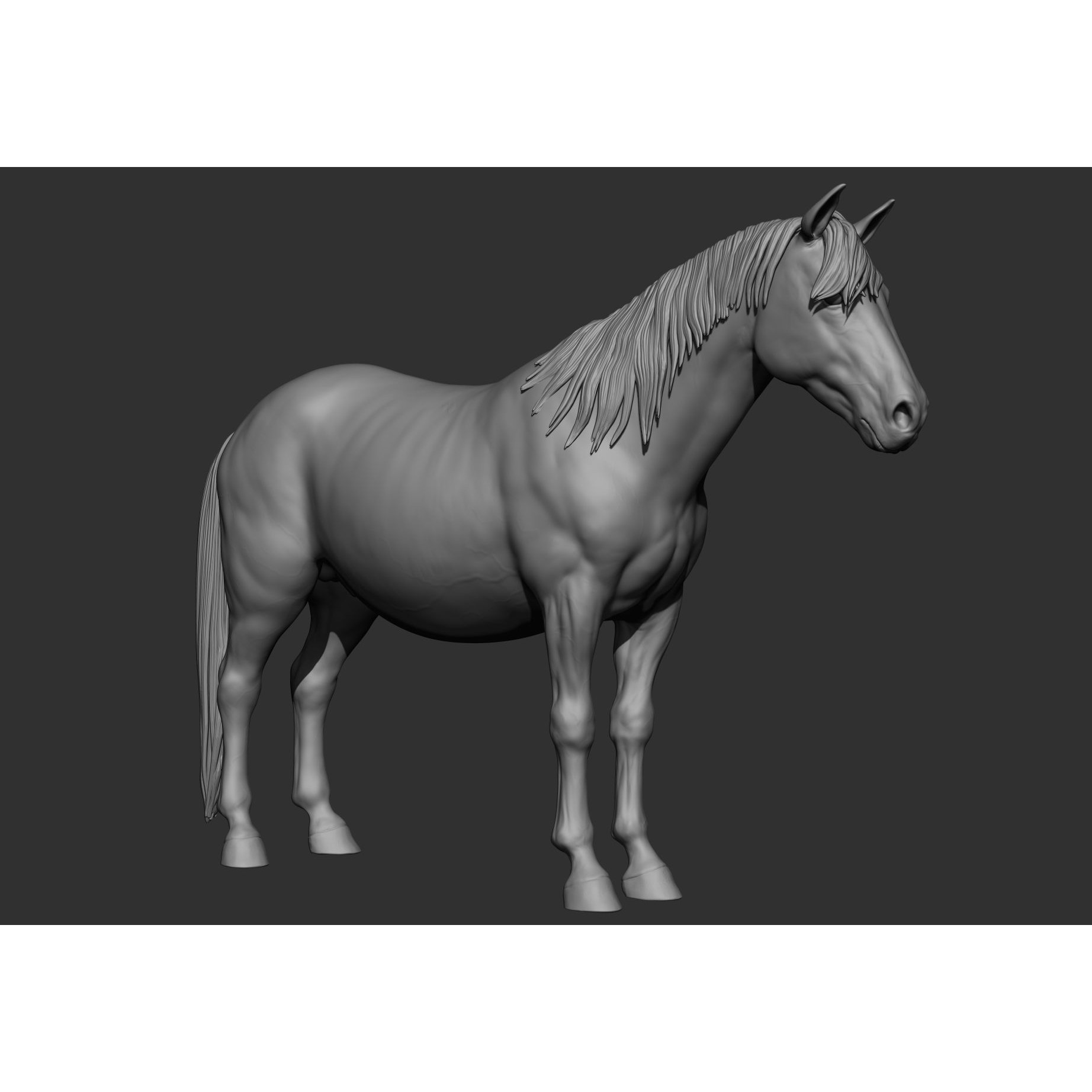 6 Horse Types - High-Poly 3D Model - View 119