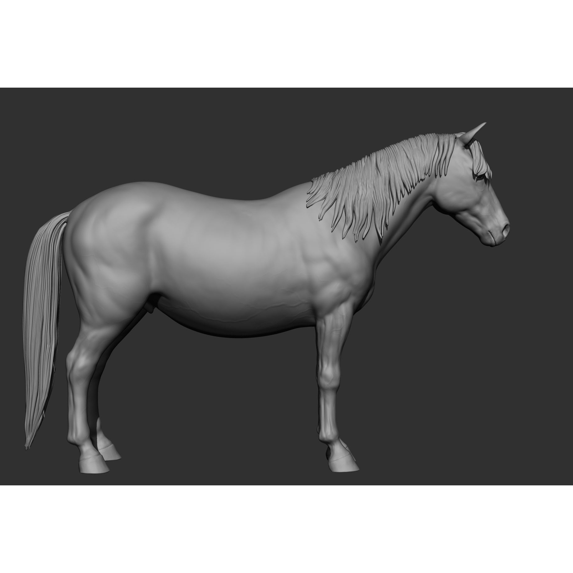 6 Horse Types - High-Poly 3D Model - View 120