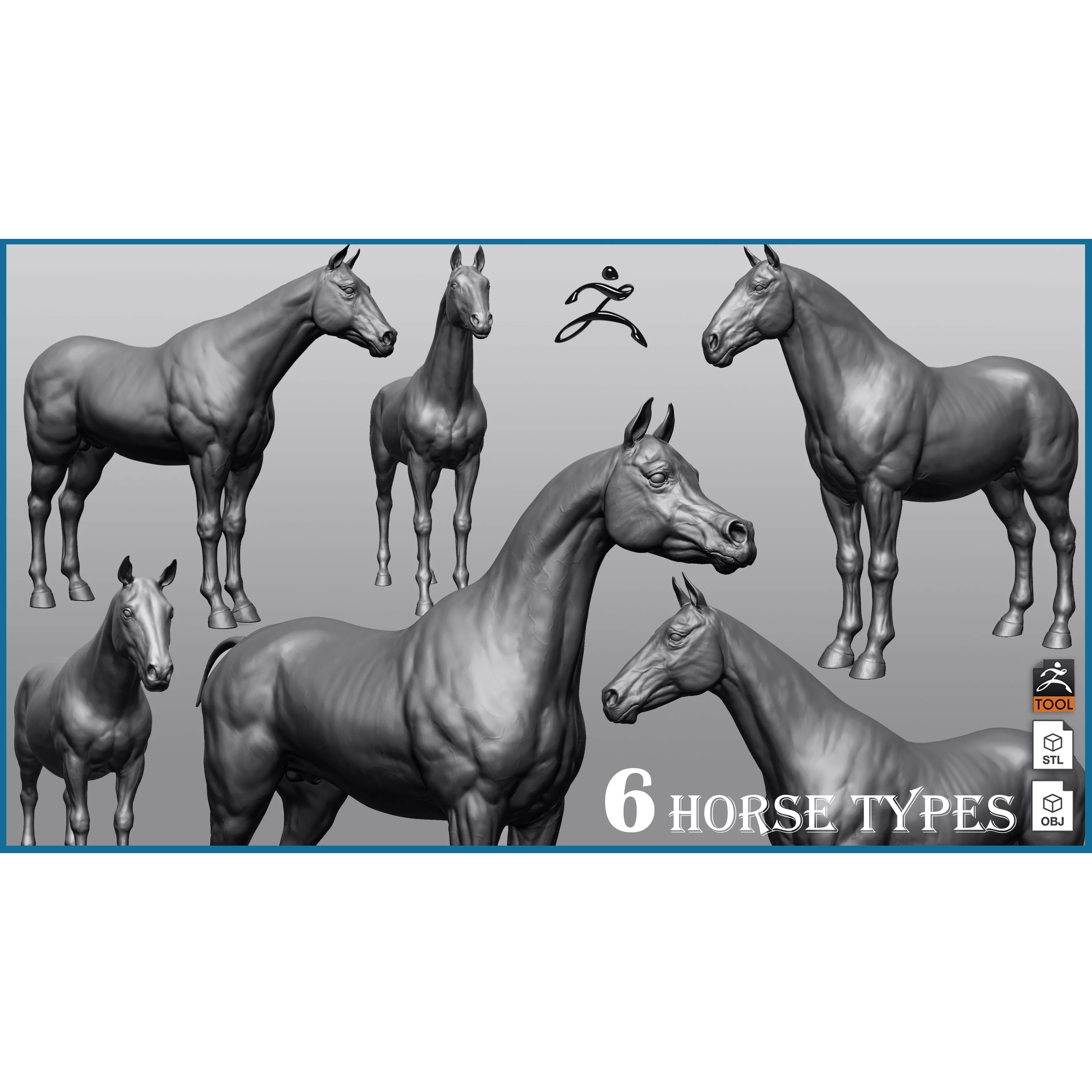 6 Horse Types - High-Poly 3D Model - View 2