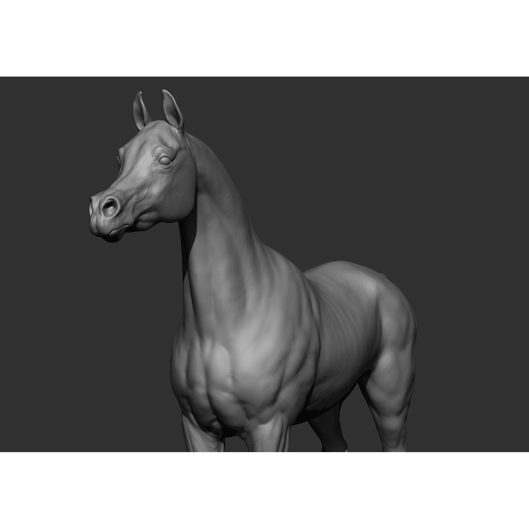 6 Horse Types - High-Poly 3D Model - View 22