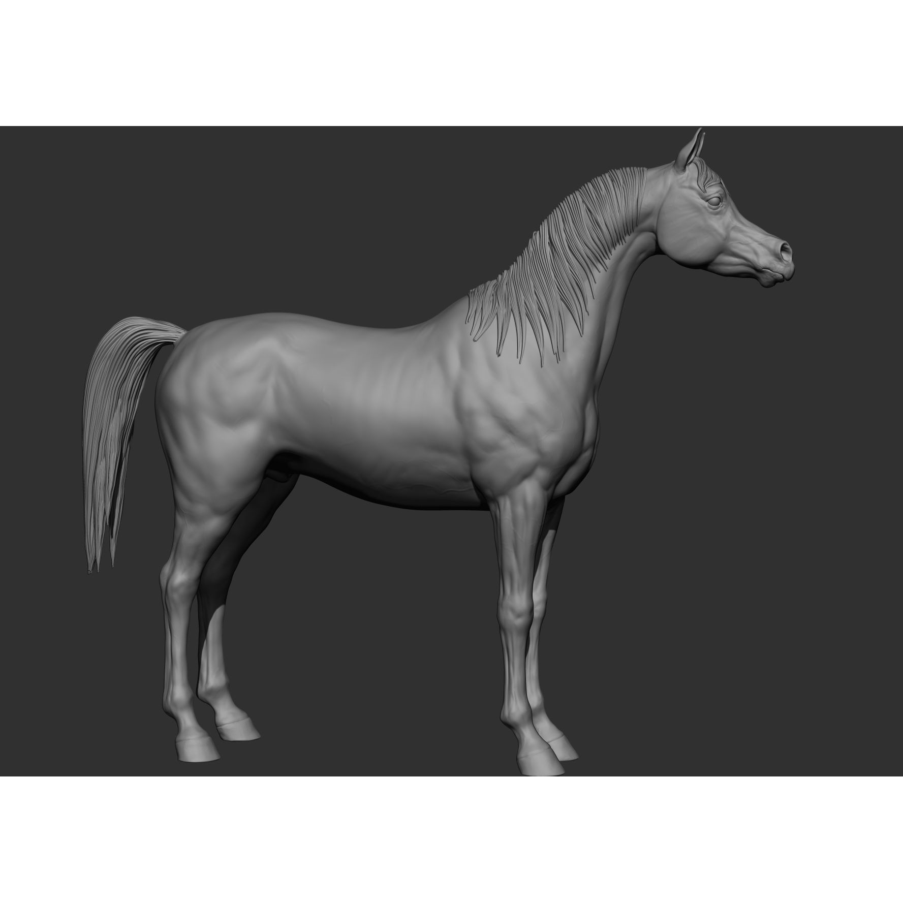 6 Horse Types - High-Poly 3D Model - View 24