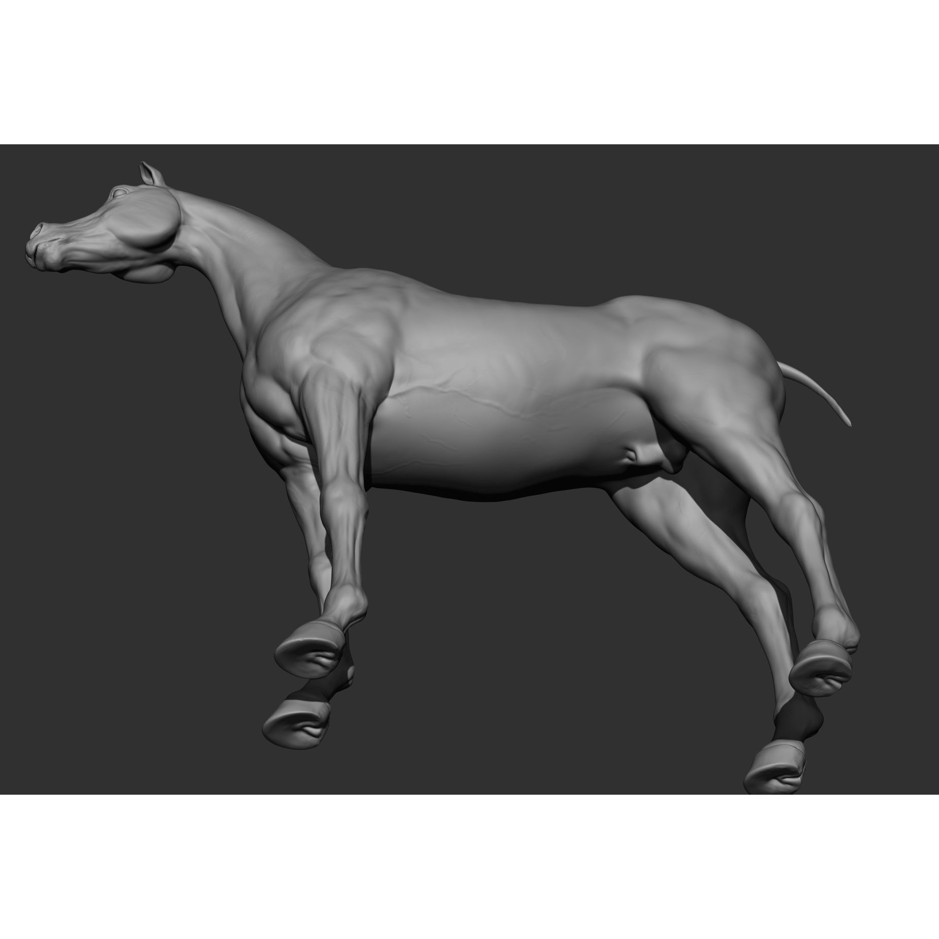 6 Horse Types - High-Poly 3D Model - View 26