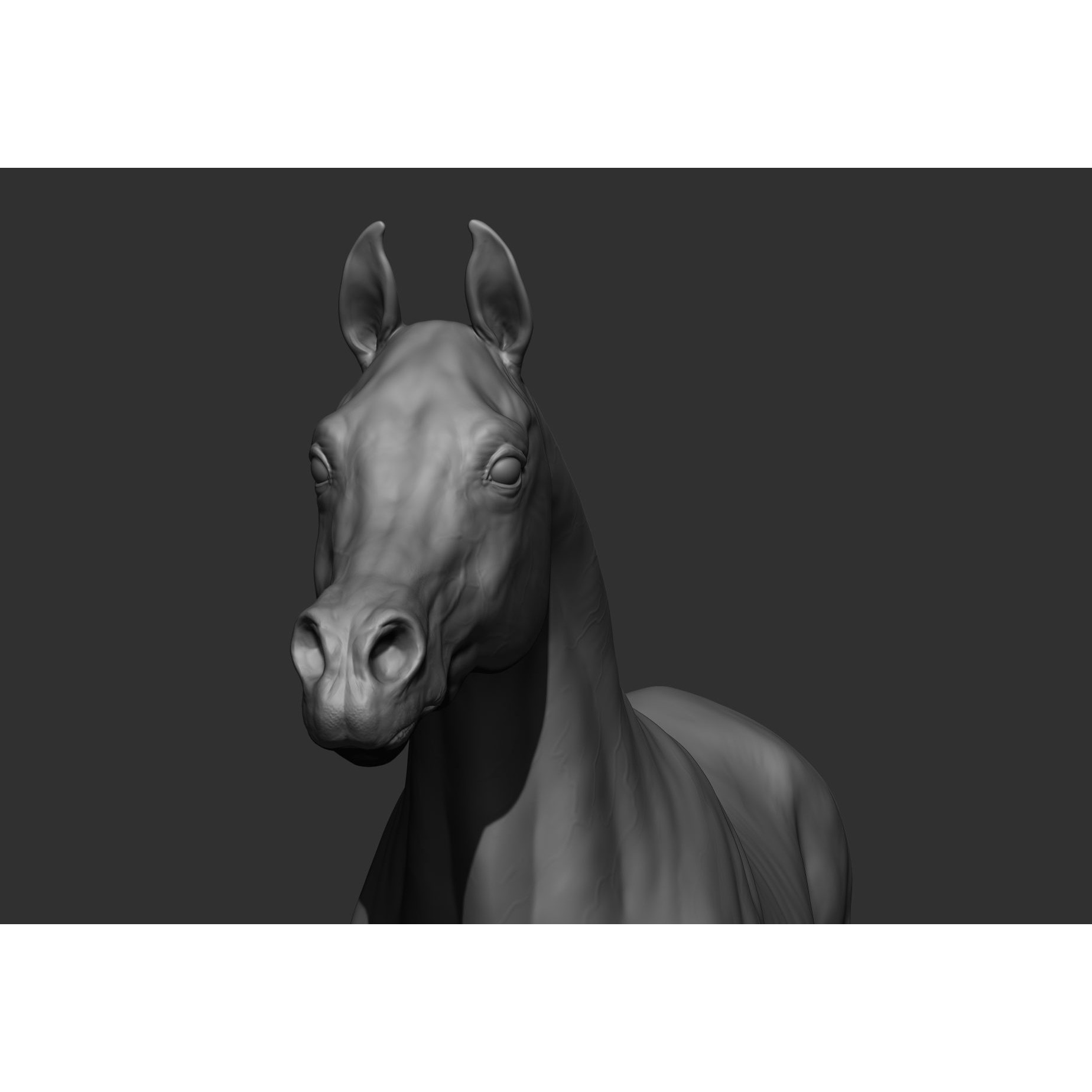 6 Horse Types - High-Poly 3D Model - View 28