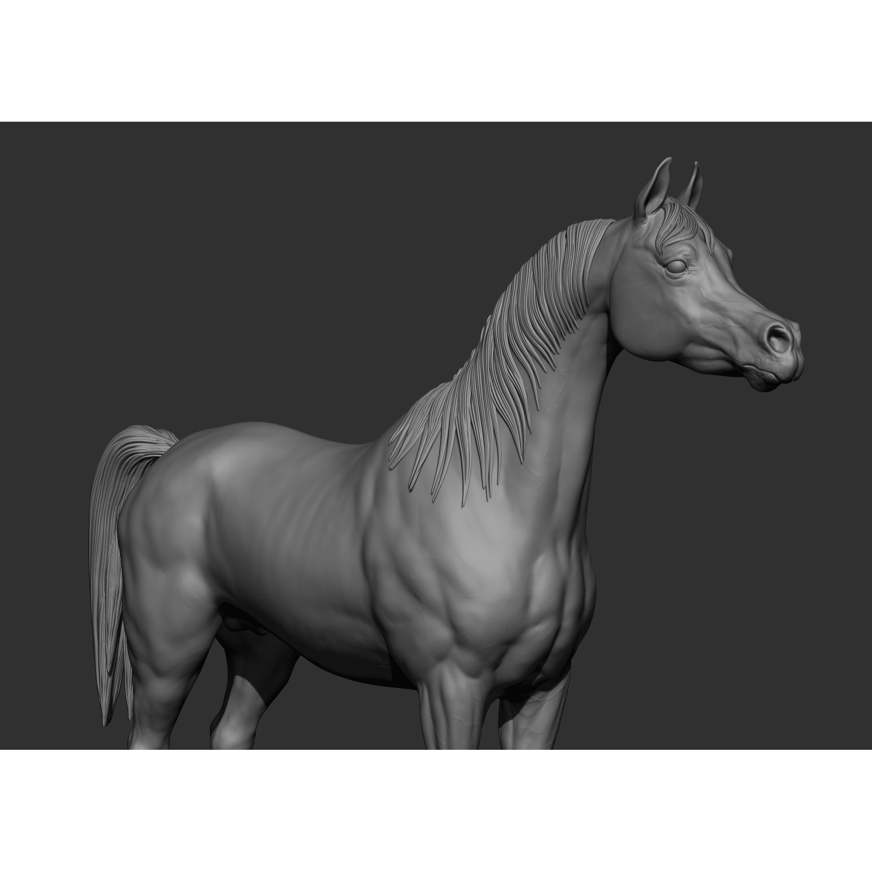 6 Horse Types - High-Poly 3D Model - View 31