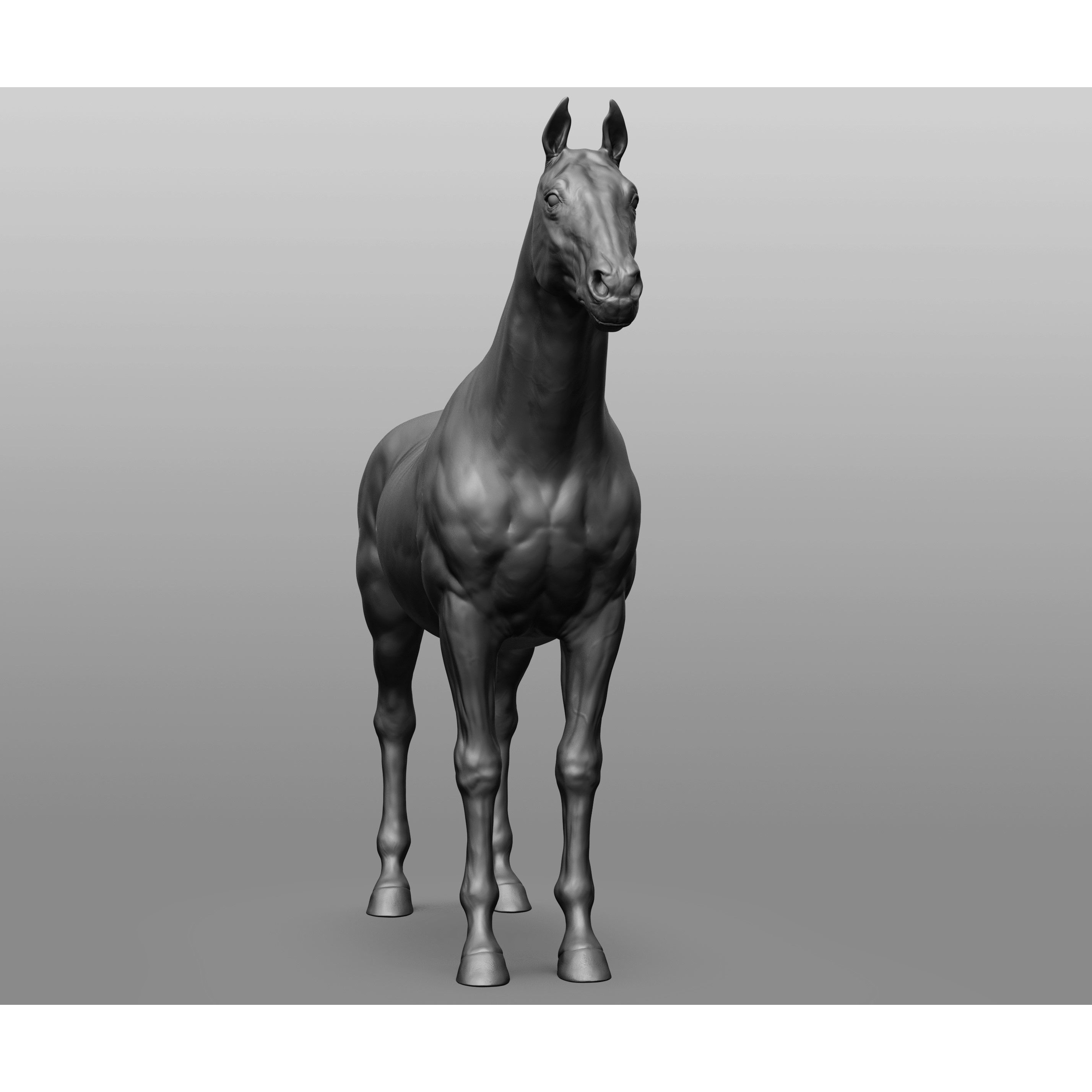 6 Horse Types - High-Poly 3D Model - View 38