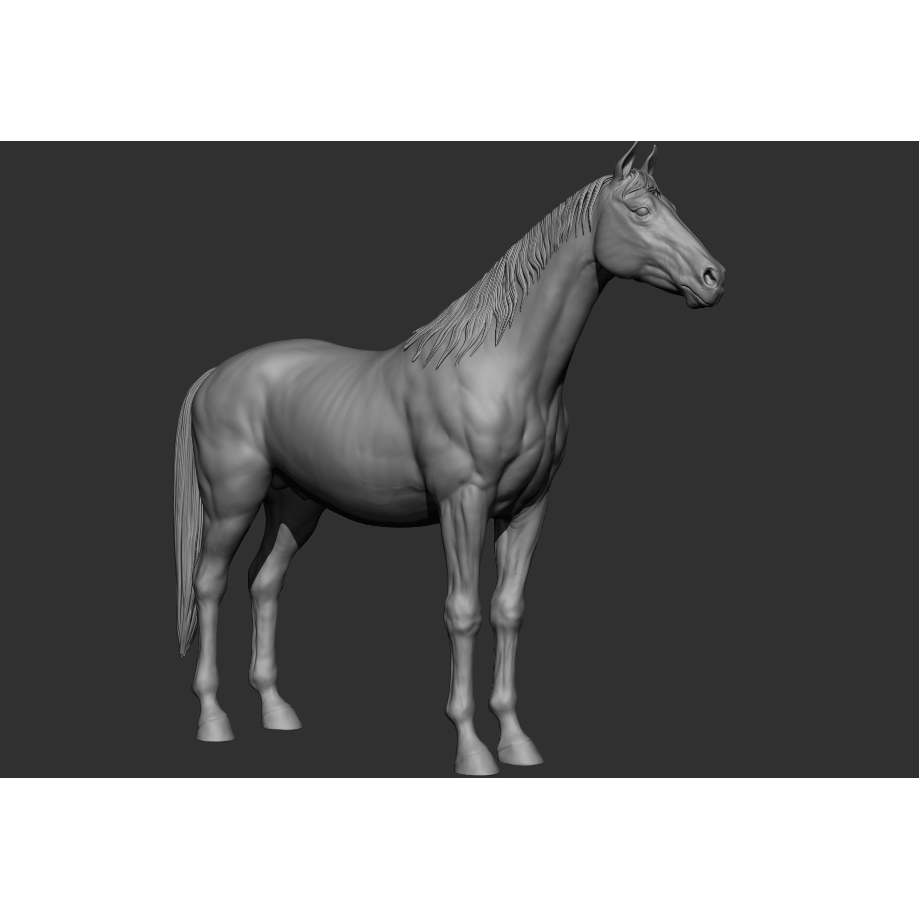 6 Horse Types - High-Poly 3D Model - View 55