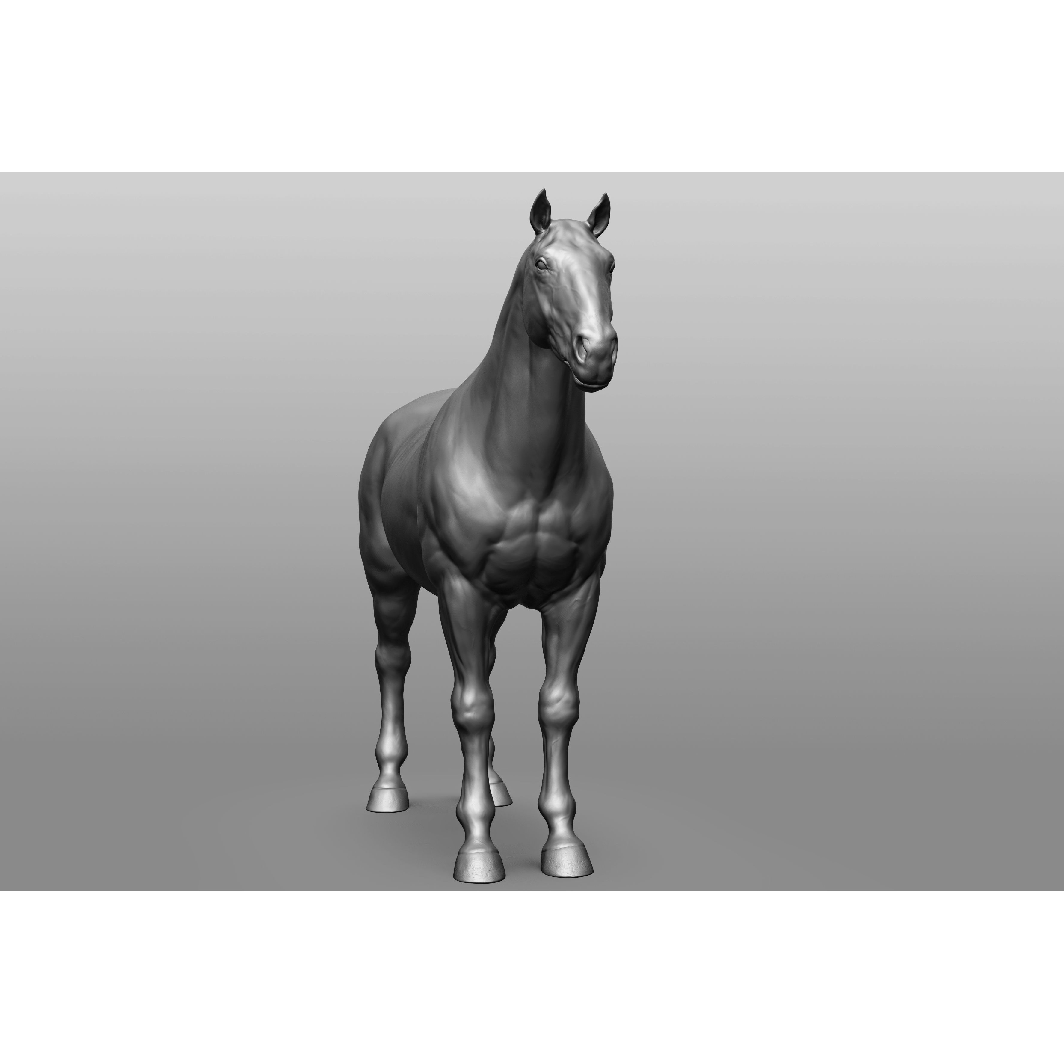 6 Horse Types - High-Poly 3D Model - View 62