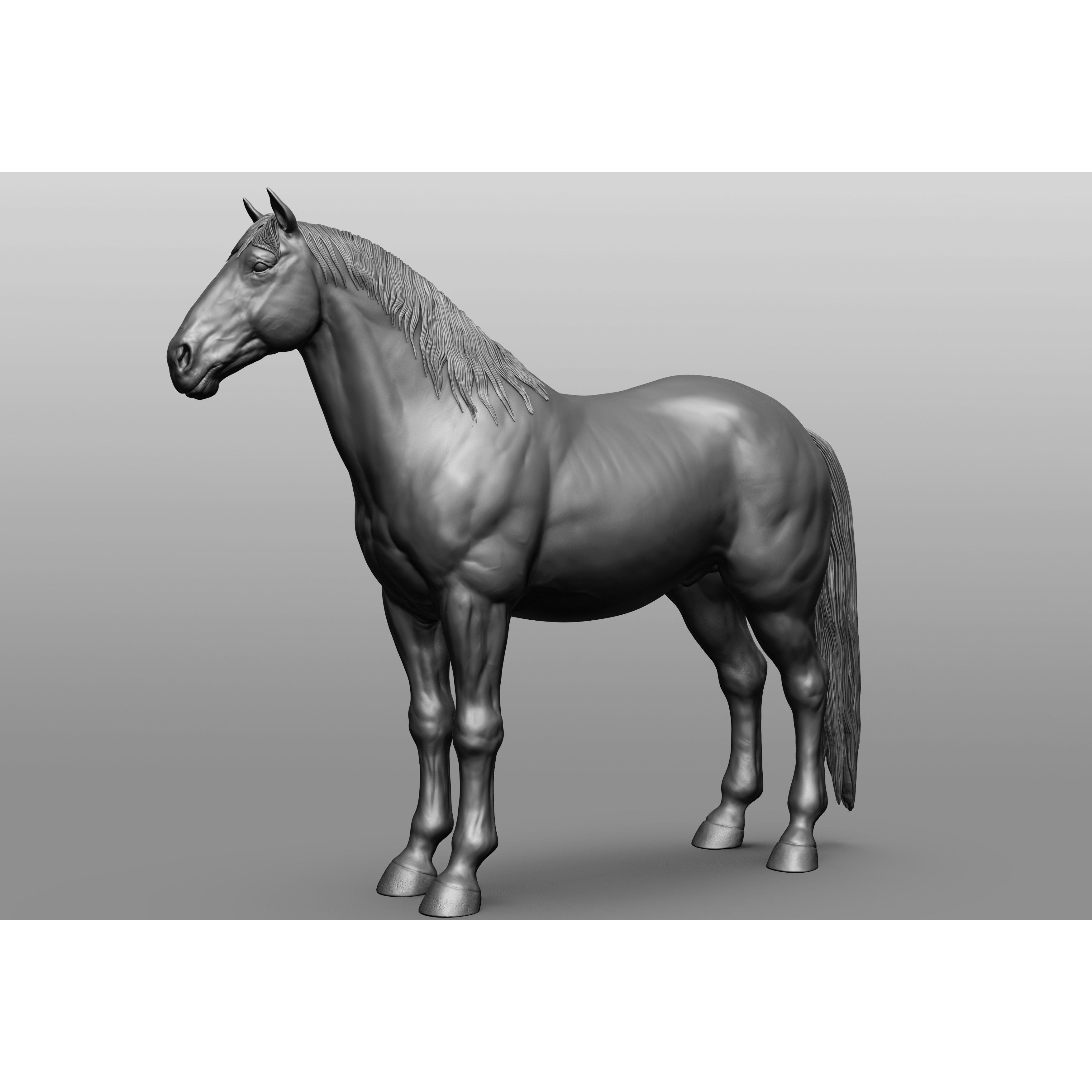6 Horse Types - High-Poly 3D Model - View 65