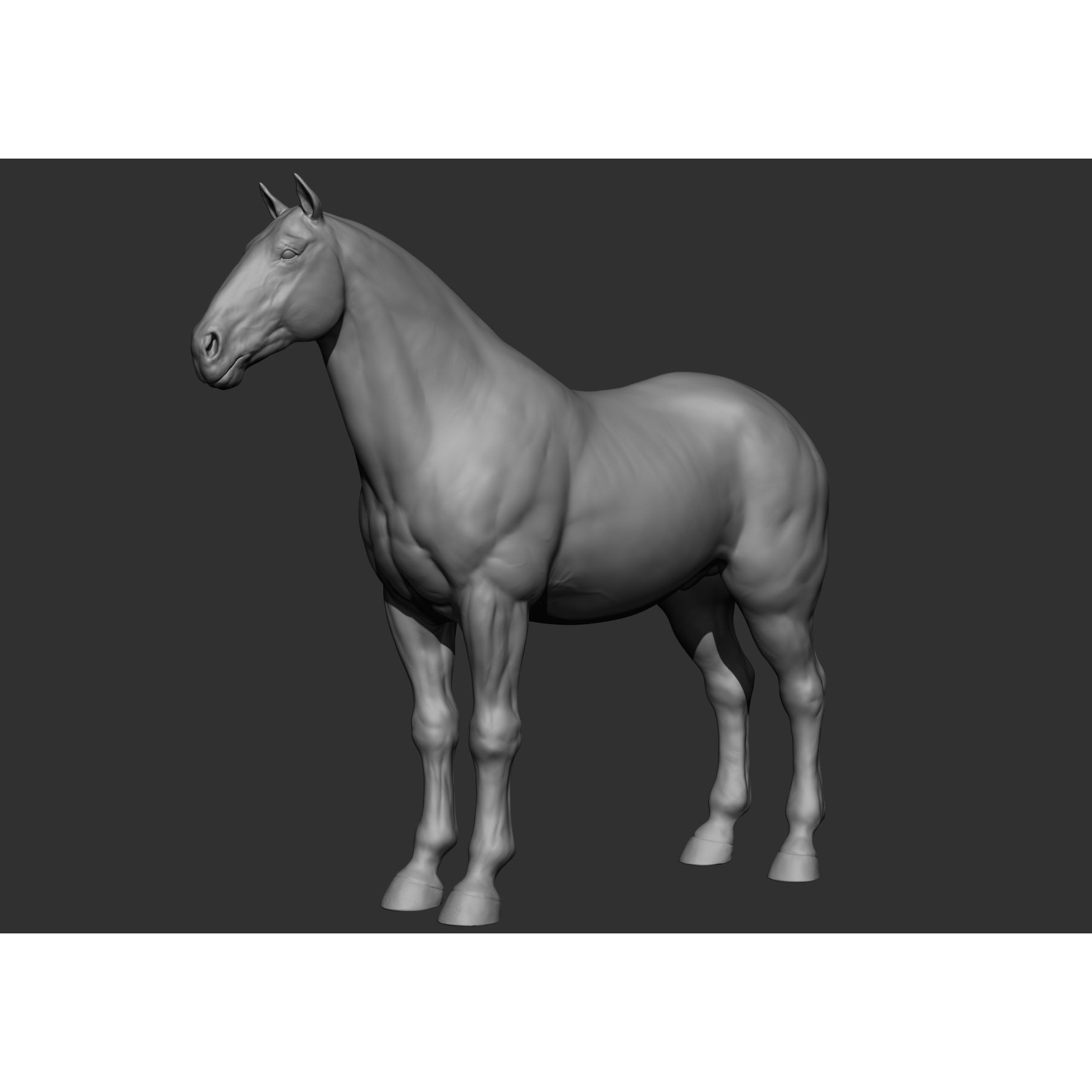 6 Horse Types - High-Poly 3D Model - View 66