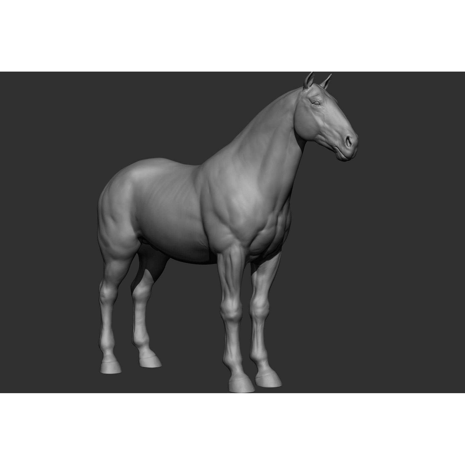 6 Horse Types - High-Poly 3D Model - View 69