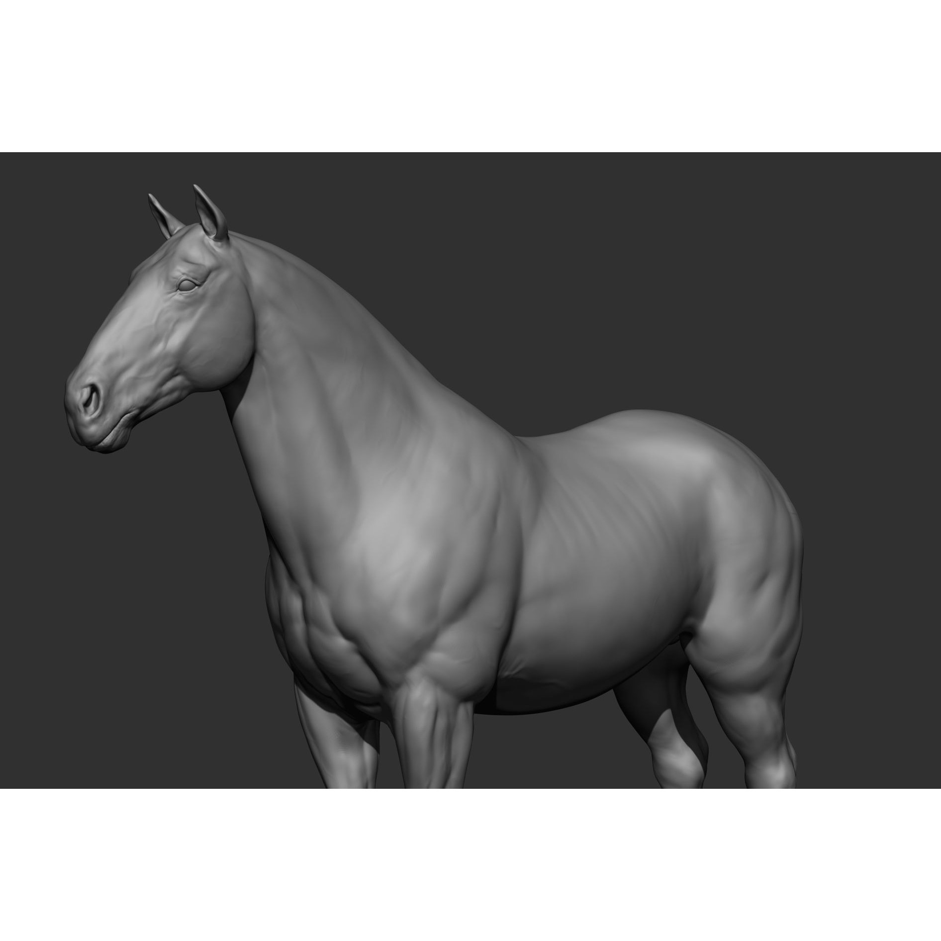 6 Horse Types - High-Poly 3D Model - View 71