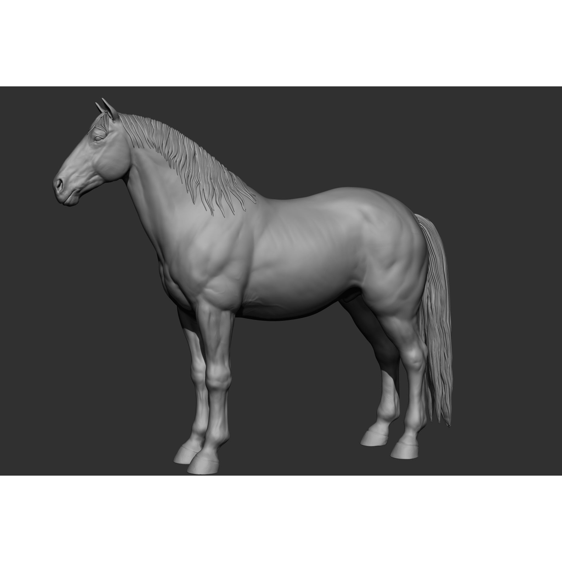 6 Horse Types - High-Poly 3D Model - View 74
