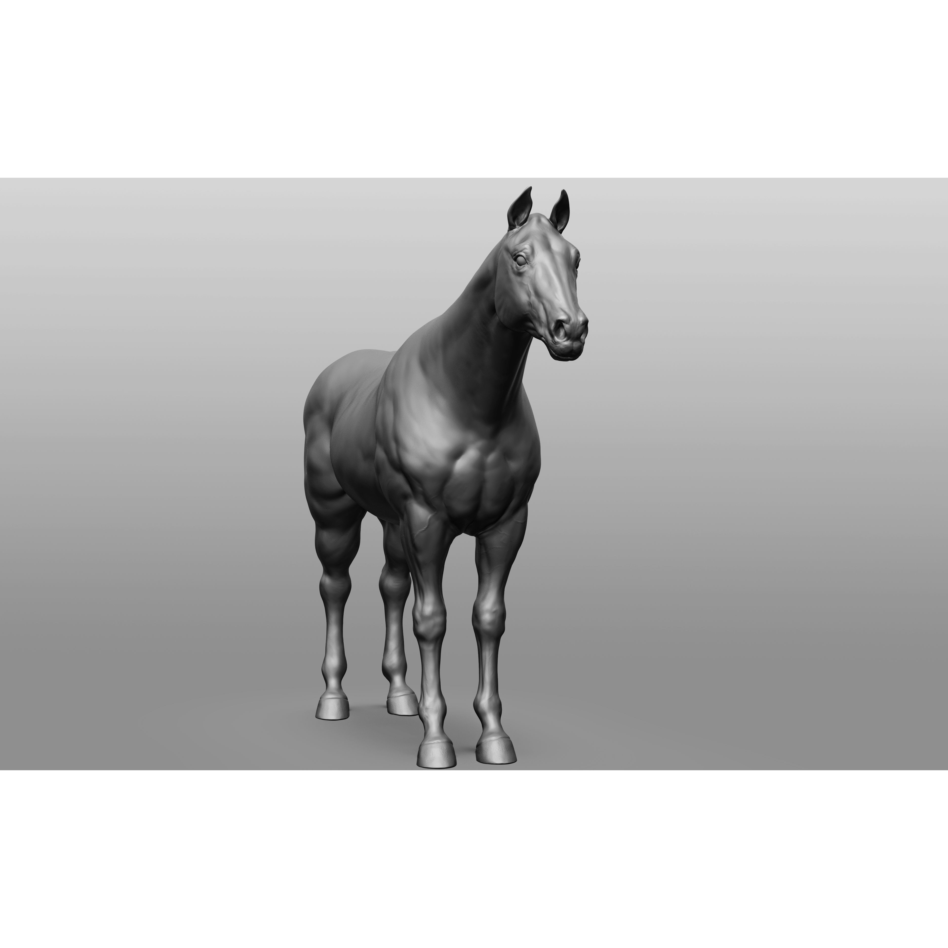 6 Horse Types - High-Poly 3D Model - View 81