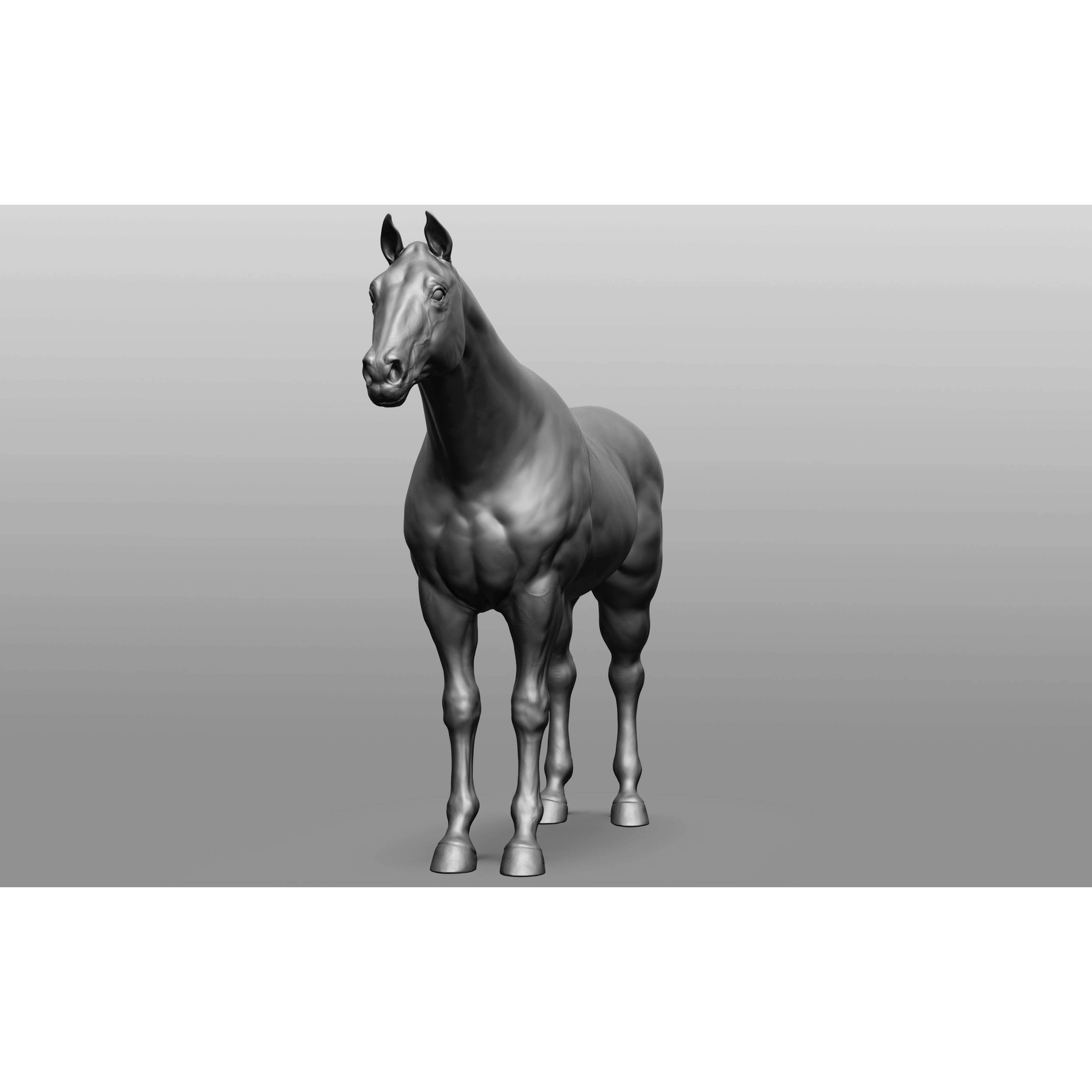 6 Horse Types - High-Poly 3D Model - View 82