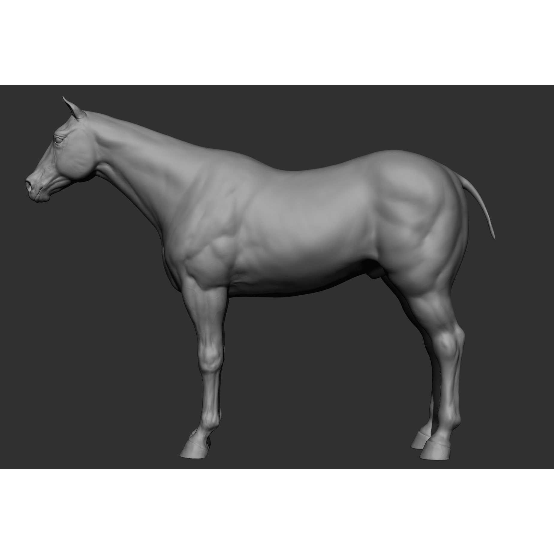 6 Horse Types - High-Poly 3D Model - View 85