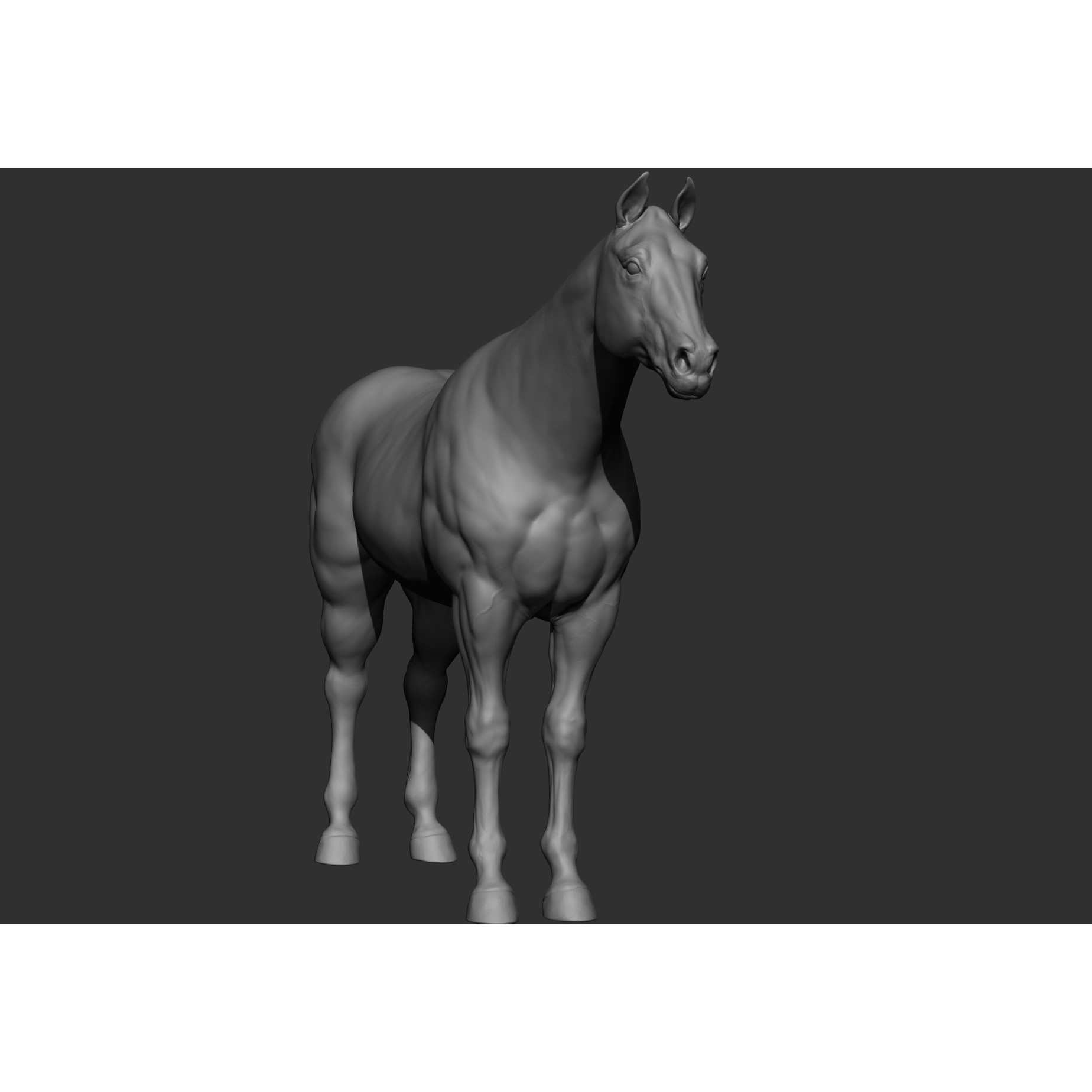 6 Horse Types - High-Poly 3D Model - View 87