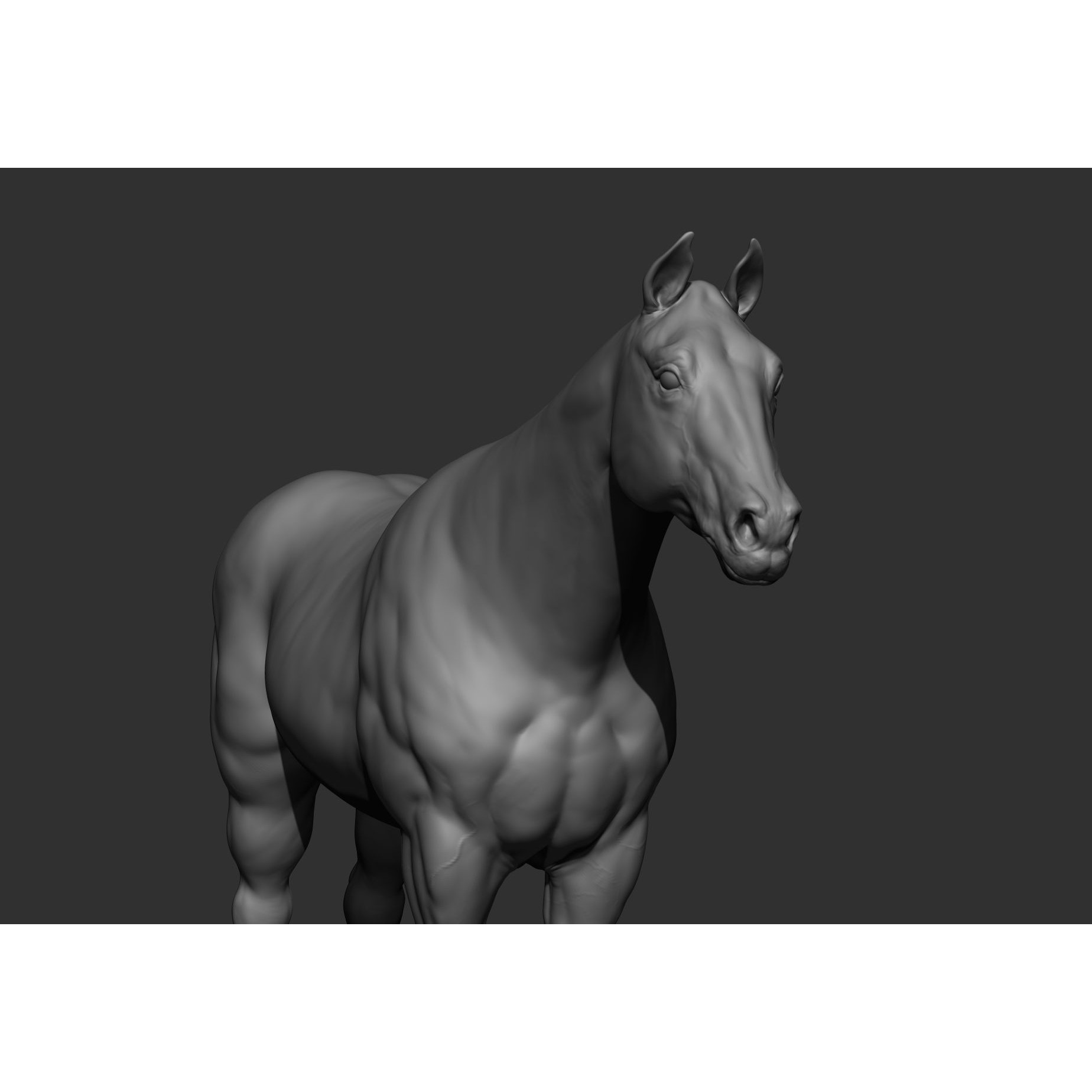 6 Horse Types - High-Poly 3D Model - View 88