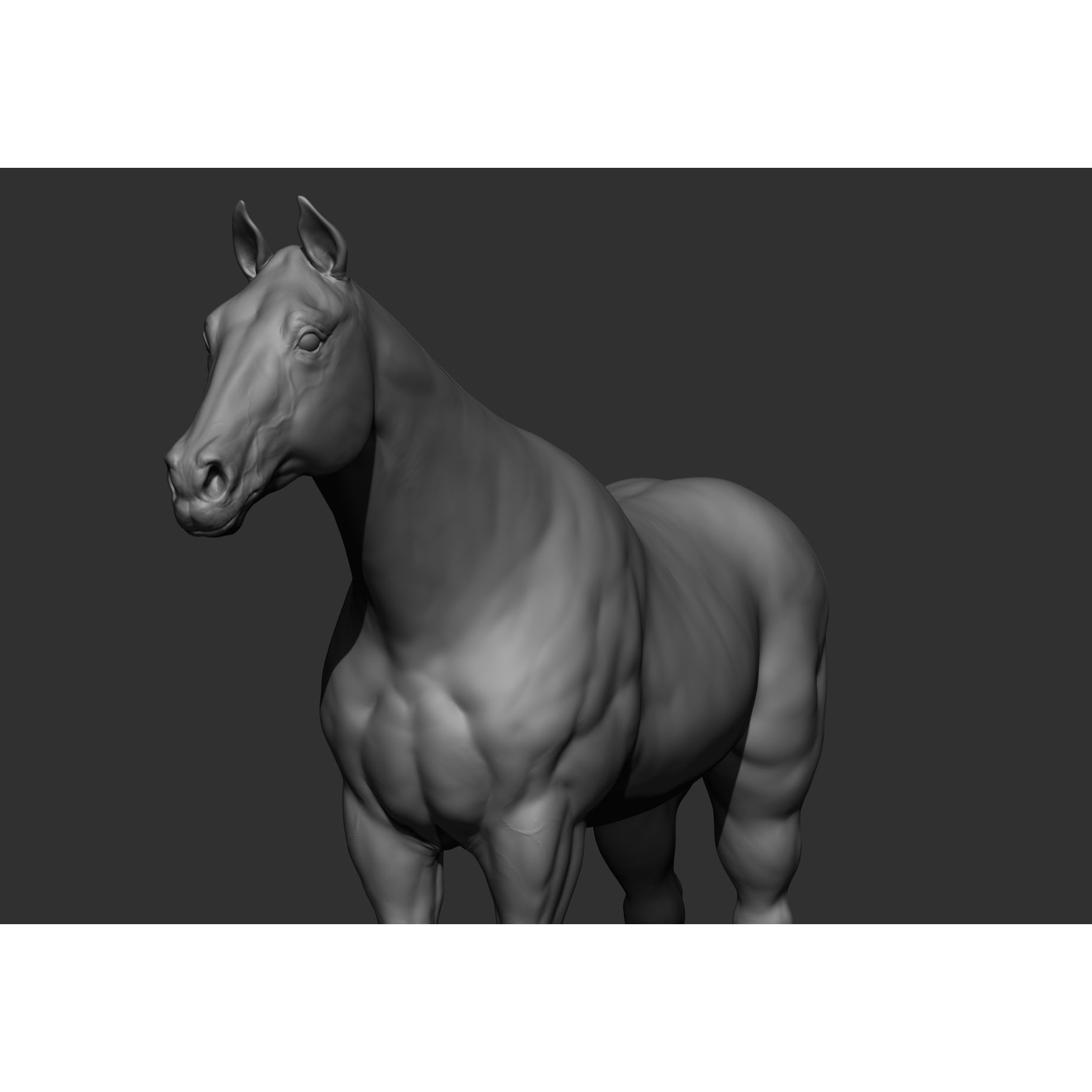 6 Horse Types - High-Poly 3D Model - View 89