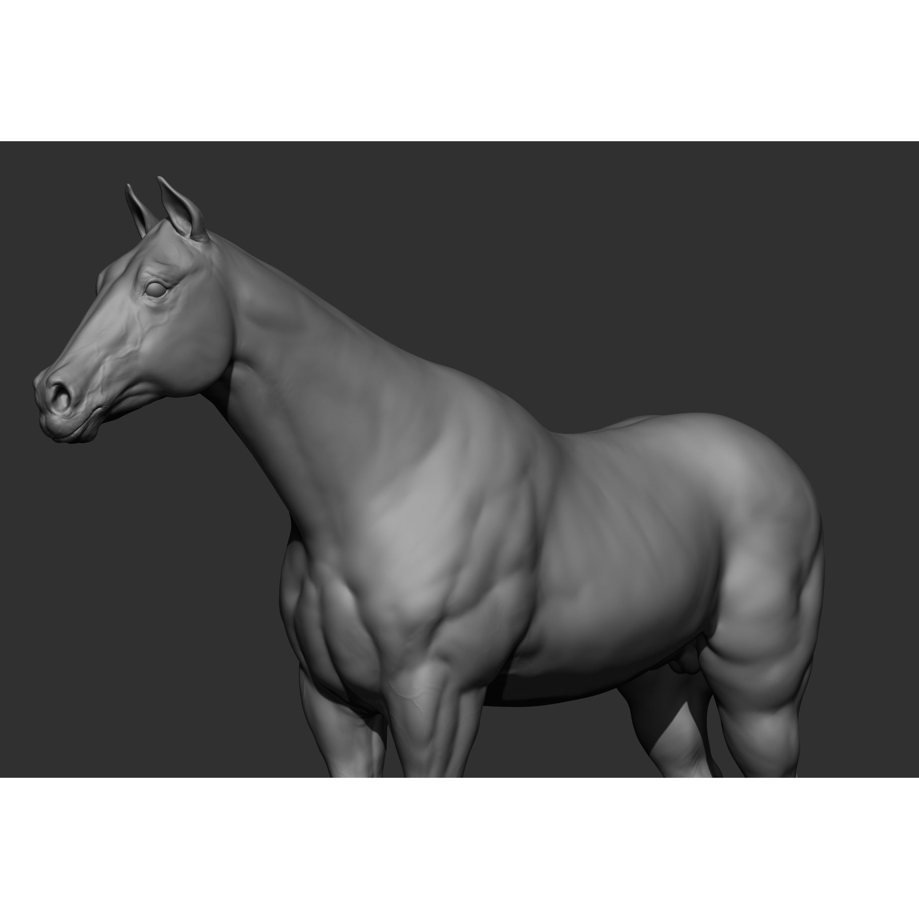 6 Horse Types - High-Poly 3D Model - View 90