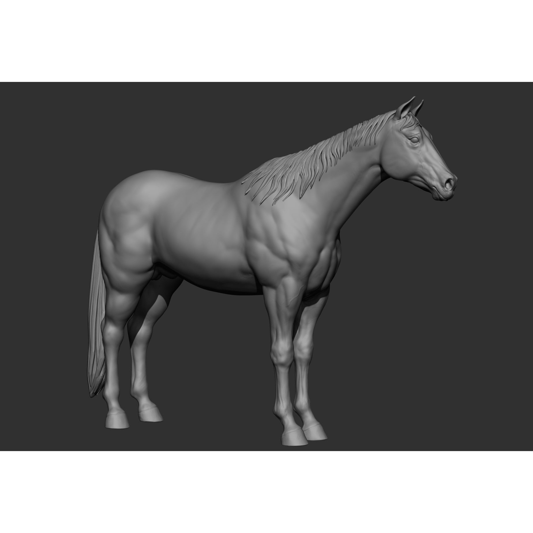 6 Horse Types - High-Poly 3D Model - View 91