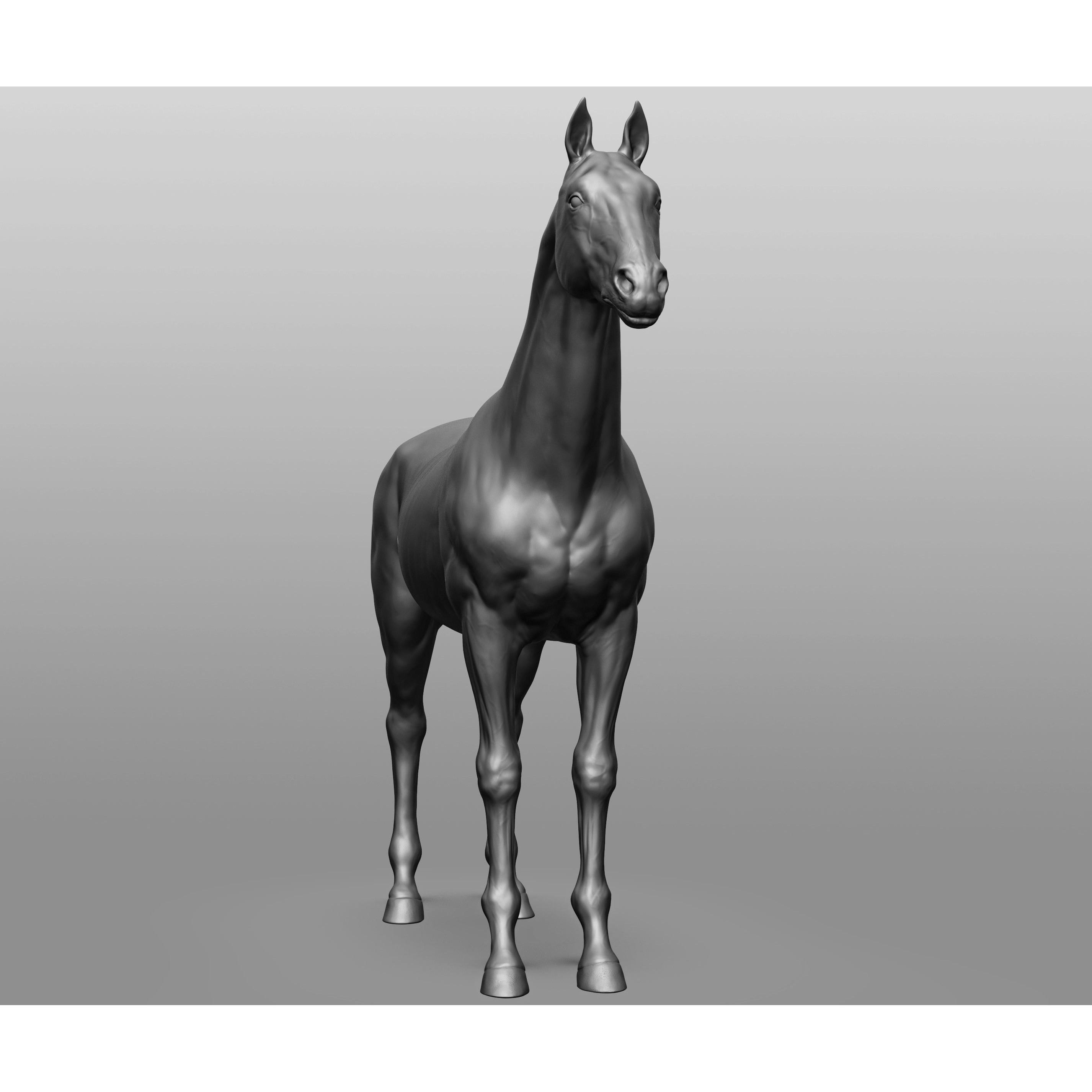 6 Horse Types - High-Poly 3D Model - View 97