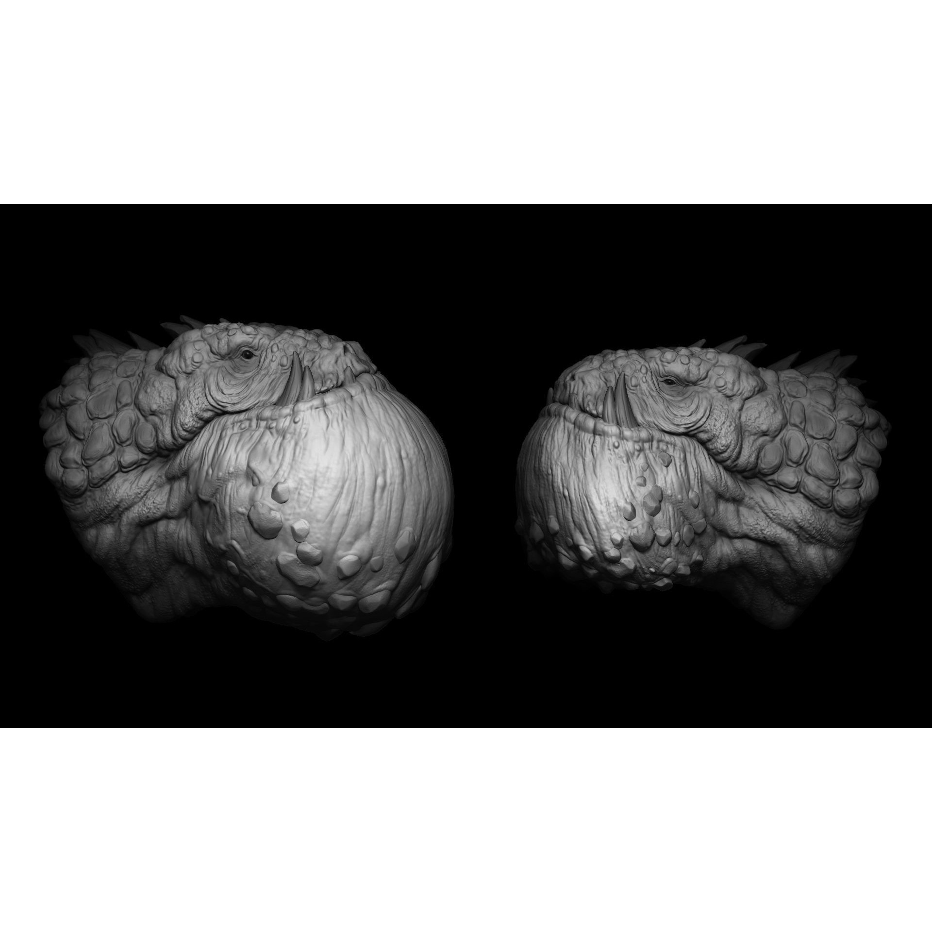 Dragon Maker Bundle - 3D Model - View 11