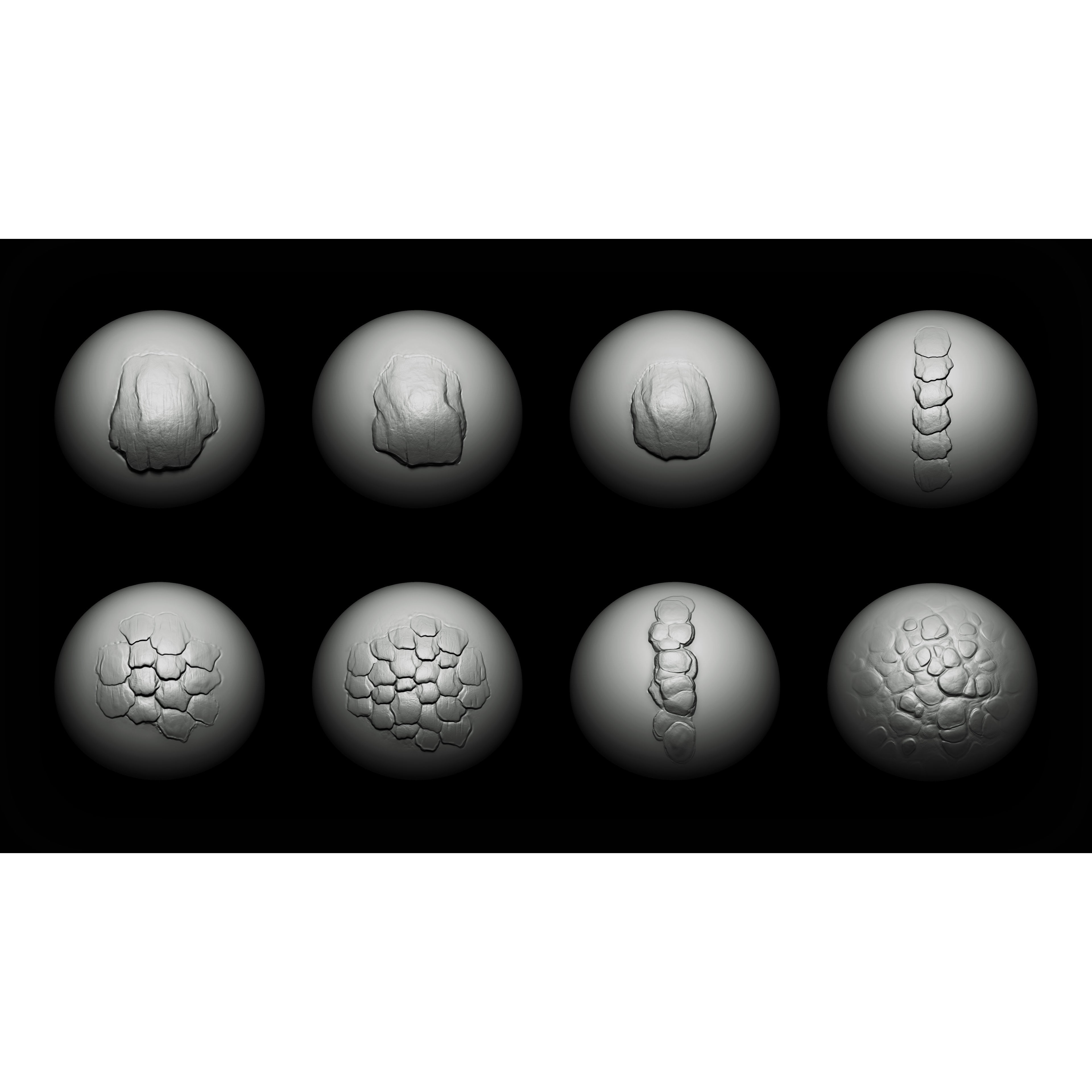 Dragon Maker Bundle - 3D Model - View 7