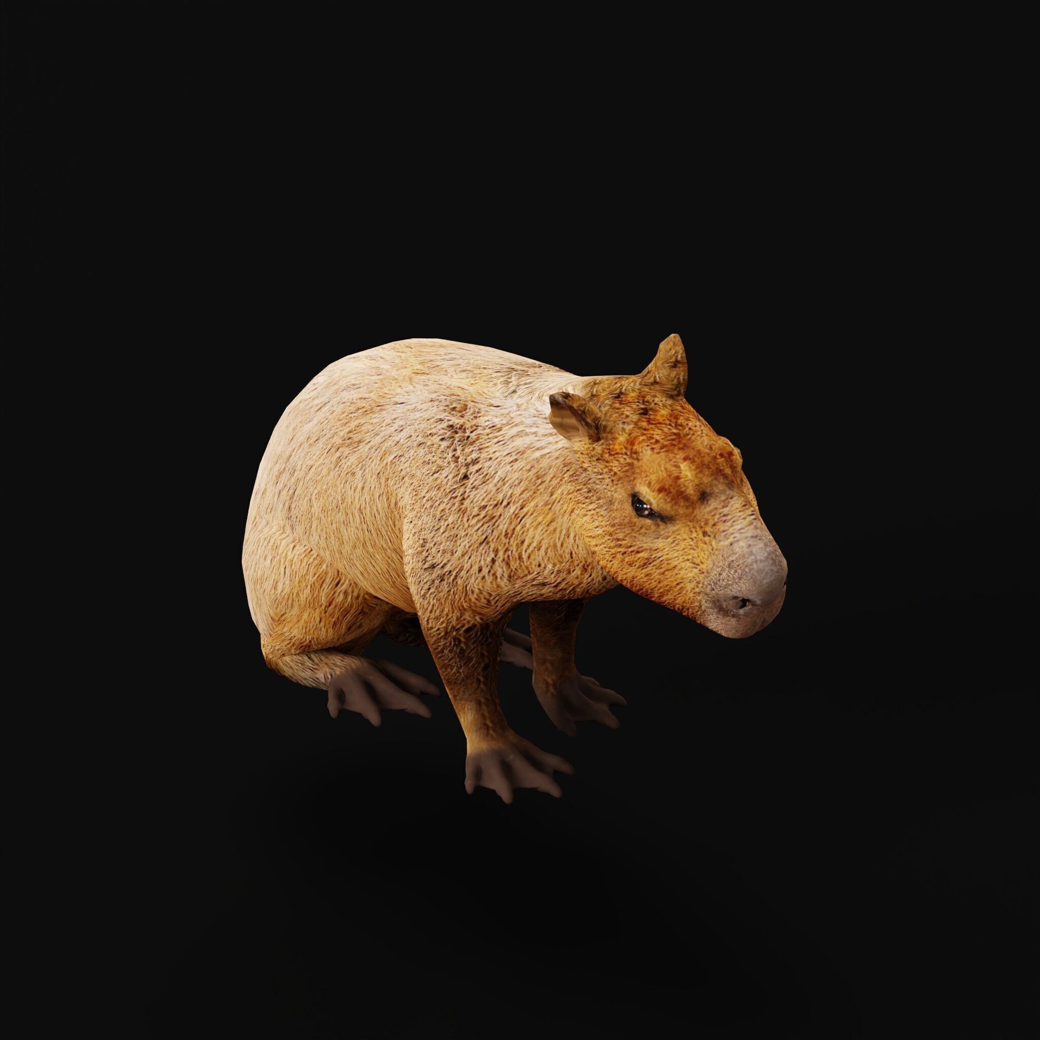 Capybara - Low-Poly Game-Ready 3D Model - View 10