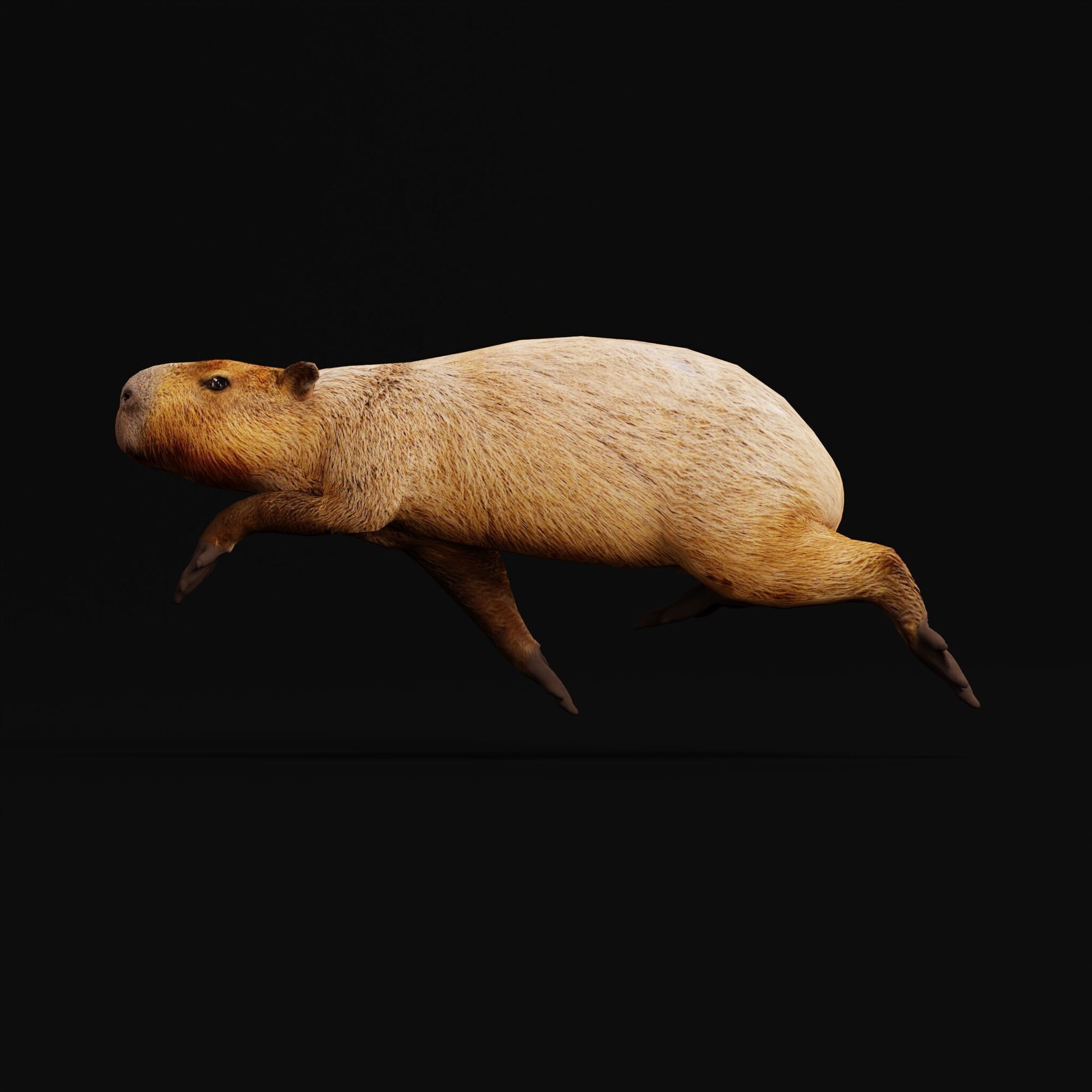 Capybara - Low-Poly Game-Ready 3D Model - View 11