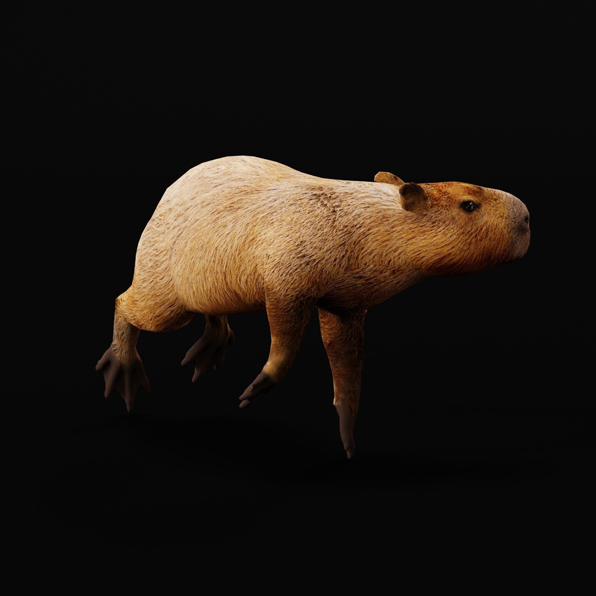 Capybara - Low-Poly Game-Ready 3D Model - View 15