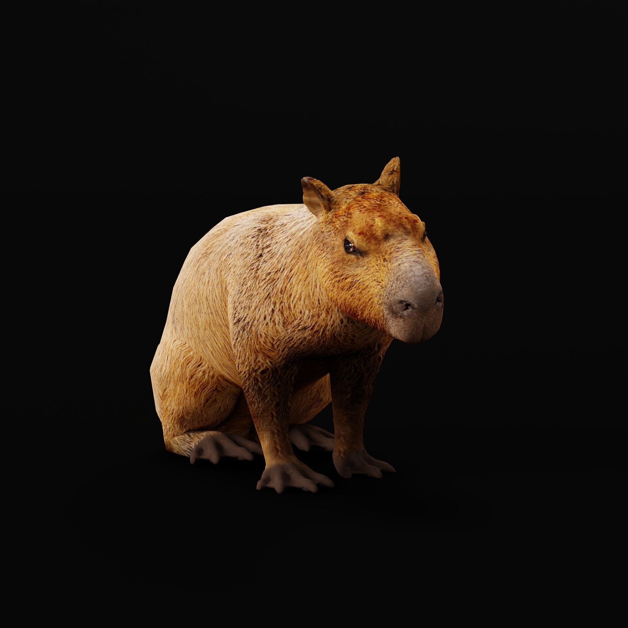 Capybara - Low-Poly Game-Ready 3D Model - View 17