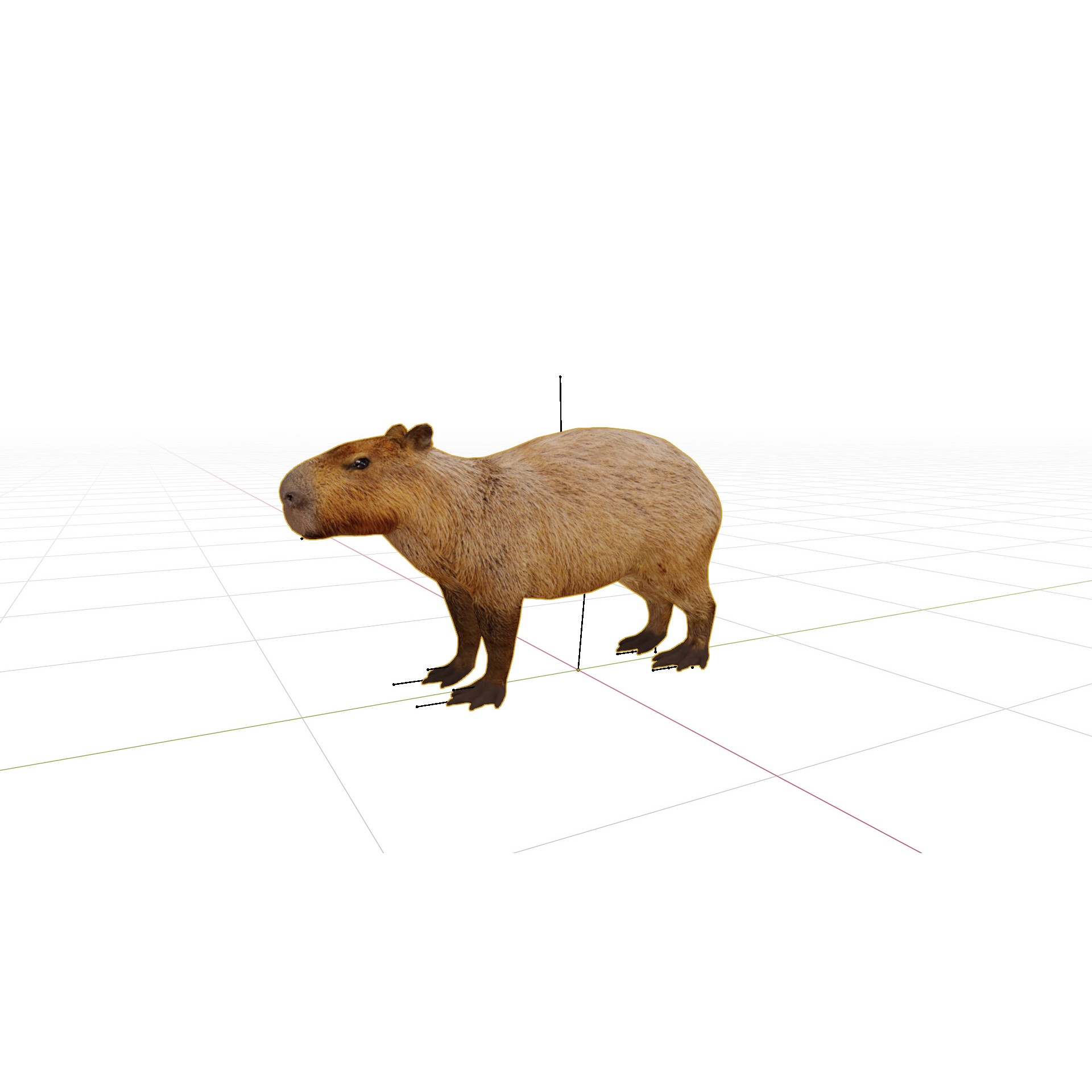 Capybara - Low-Poly Game-Ready 3D Model - View 25