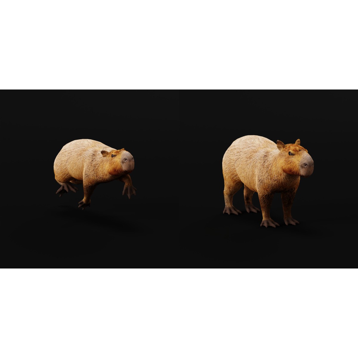 Capybara - Low-Poly Game-Ready 3D Model - View 38