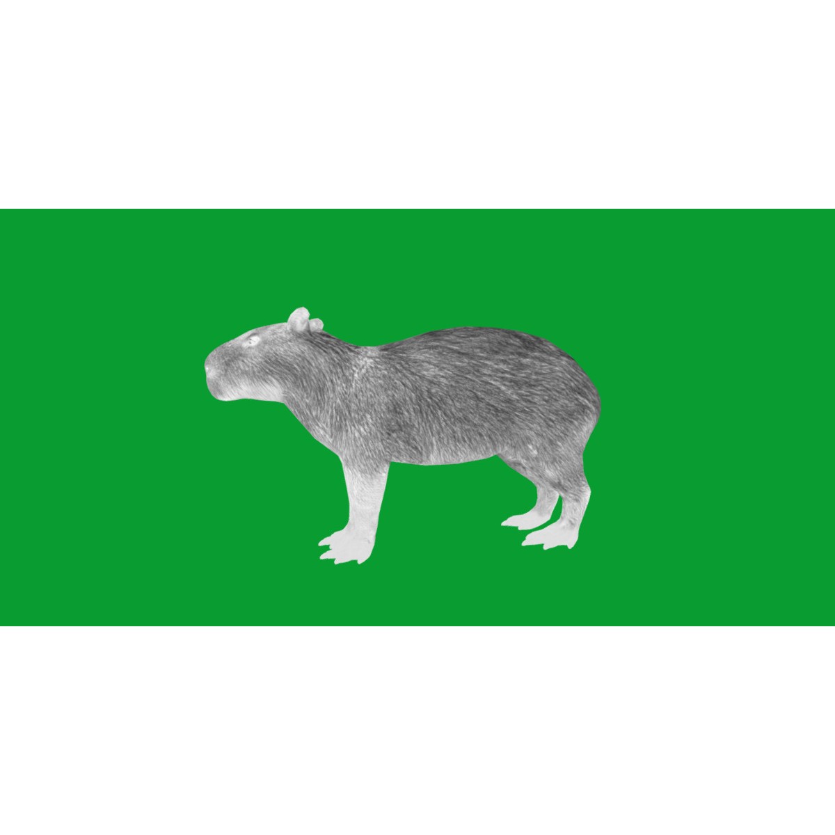 Capybara - Low-Poly Game-Ready 3D Model - View 42