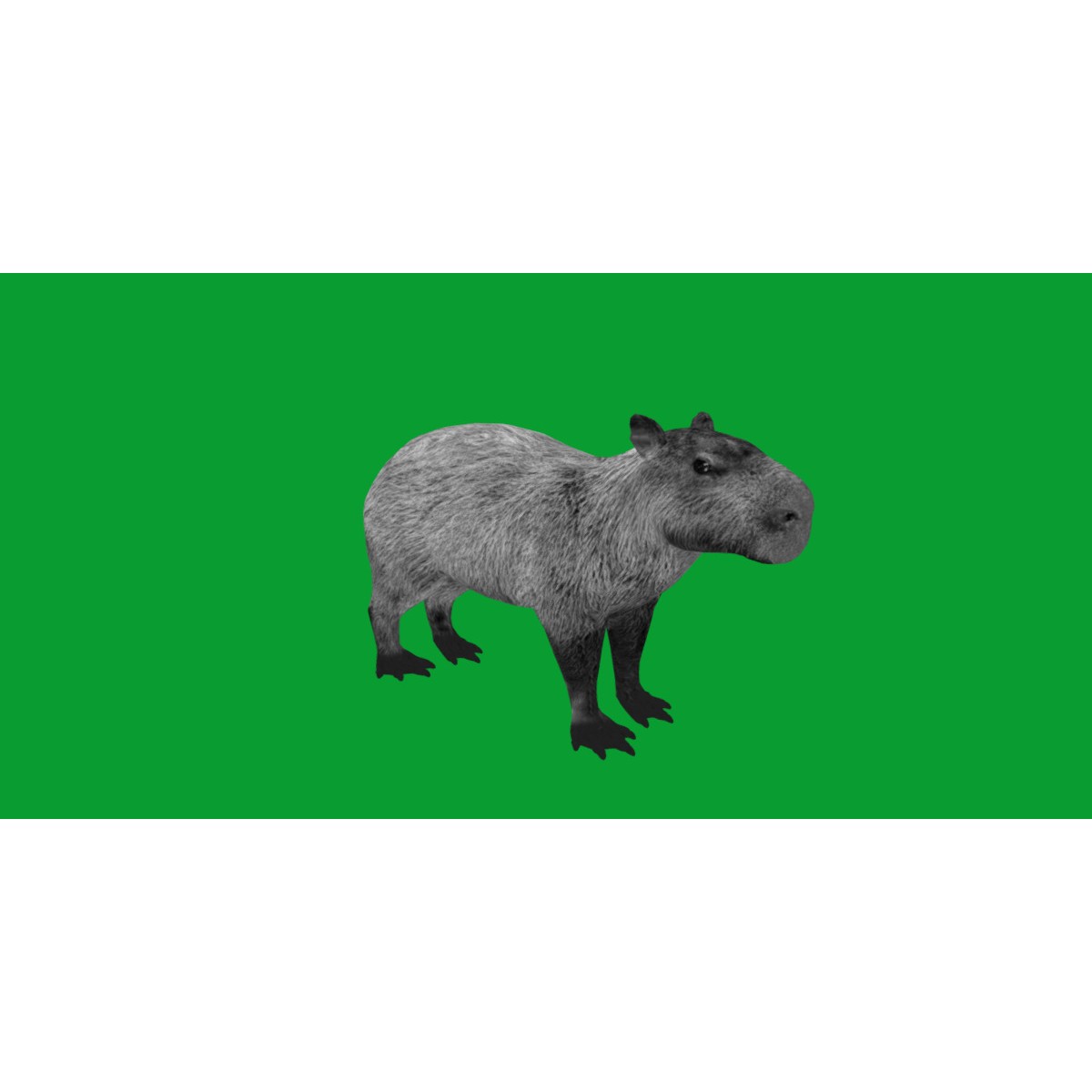 Capybara - Low-Poly Game-Ready 3D Model - View 44