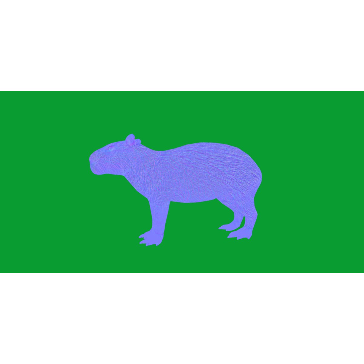 Capybara - Low-Poly Game-Ready 3D Model - View 45