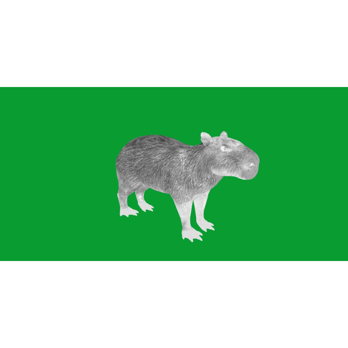 Capybara - Low-Poly Game-Ready 3D Model - View 46