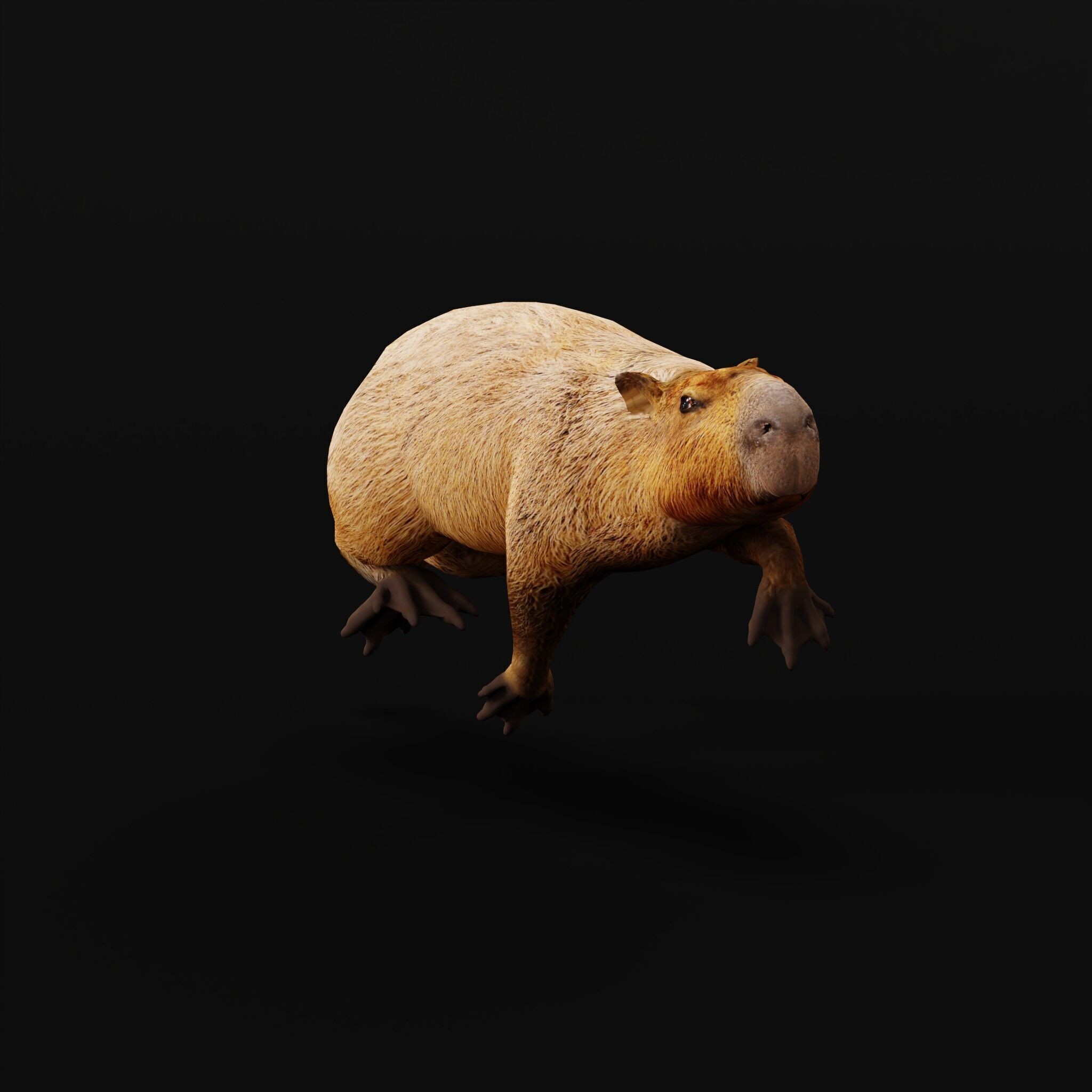 Capybara - Low-Poly Game-Ready 3D Model - View 5