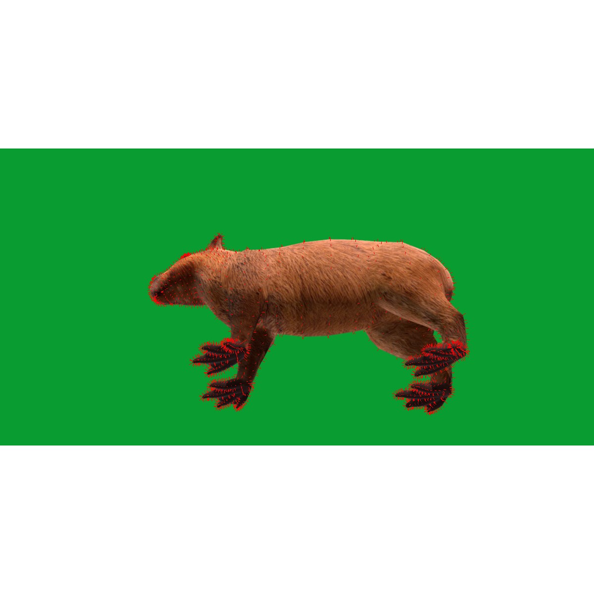 Capybara - Low-Poly Game-Ready 3D Model - View 54