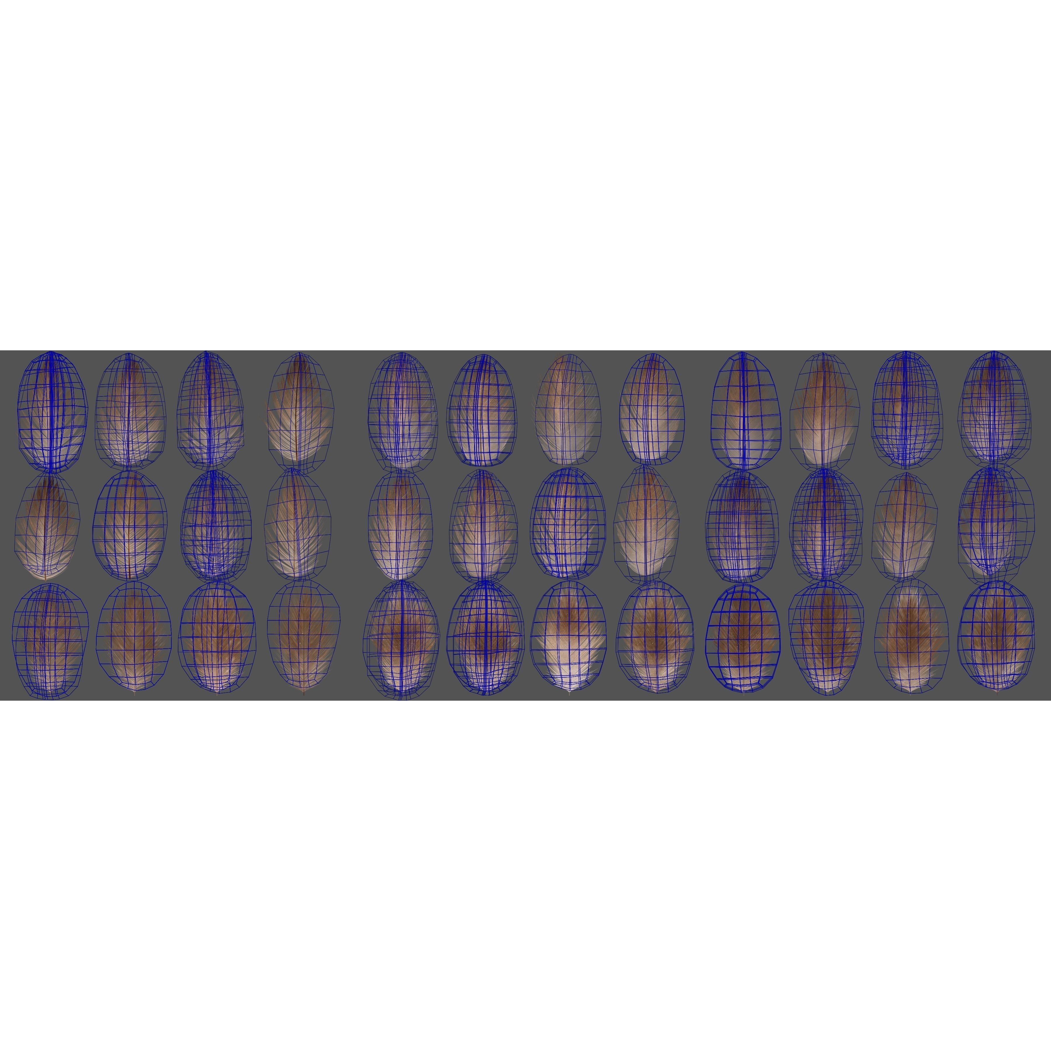 Aquila Nipalensis - Rigged Animated 3D Model