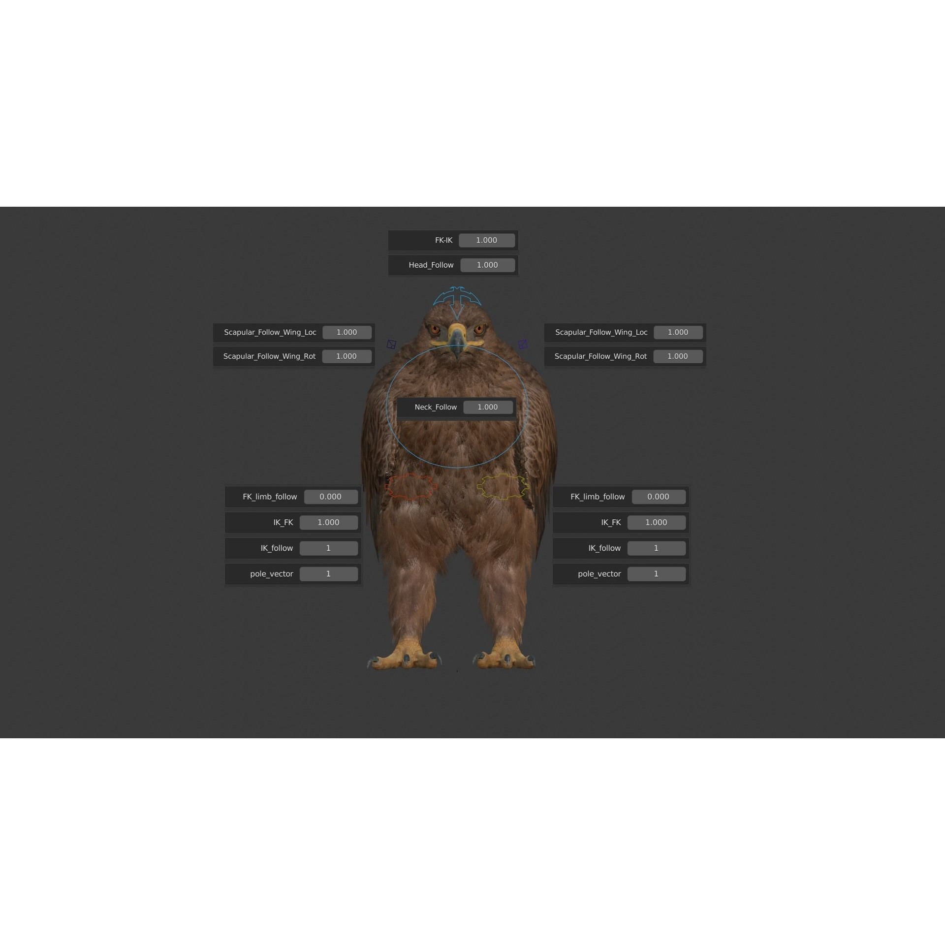 Aquila Nipalensis - Rigged Animated 3D Model - View 28