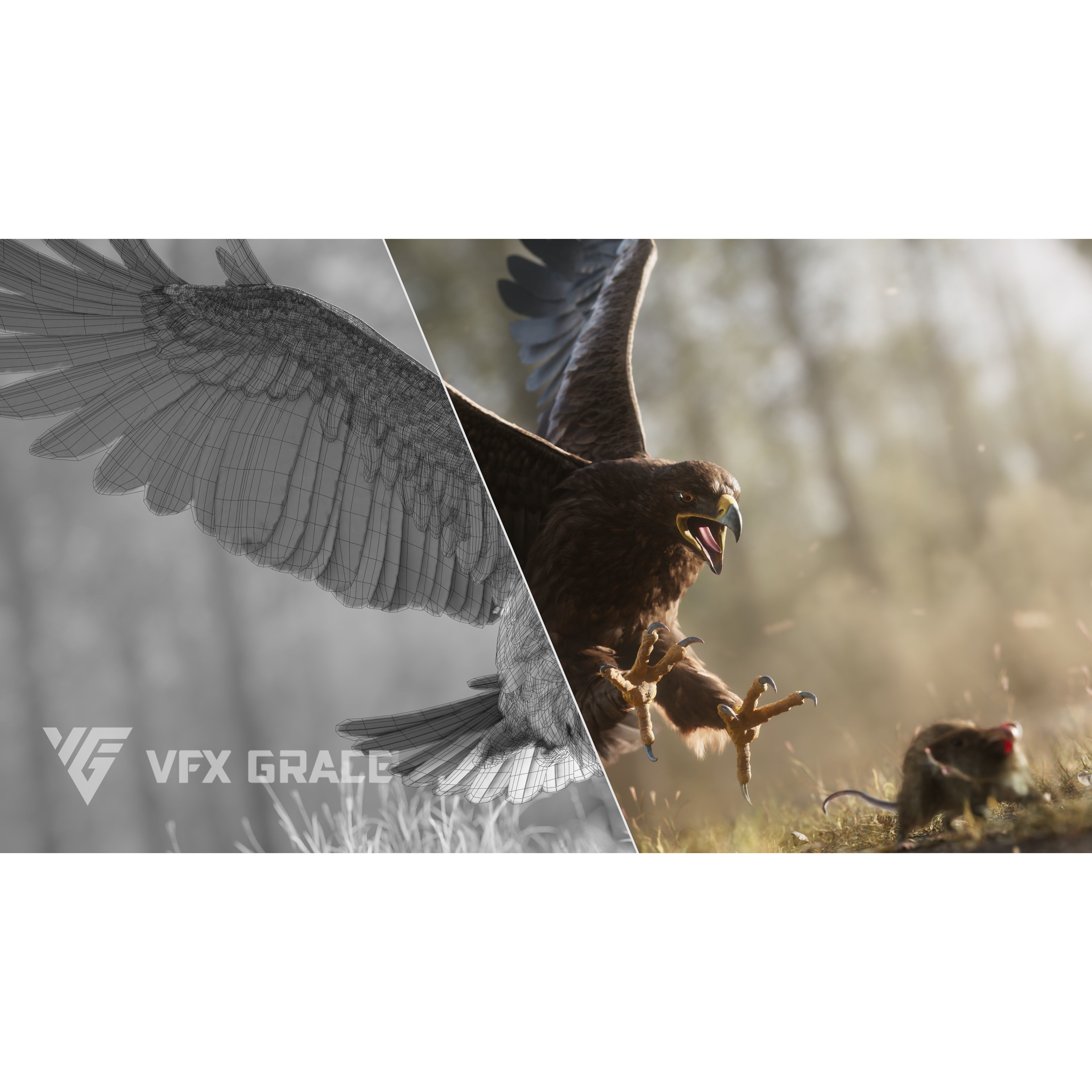 Aquila Nipalensis - Rigged Animated 3D Model - View 4