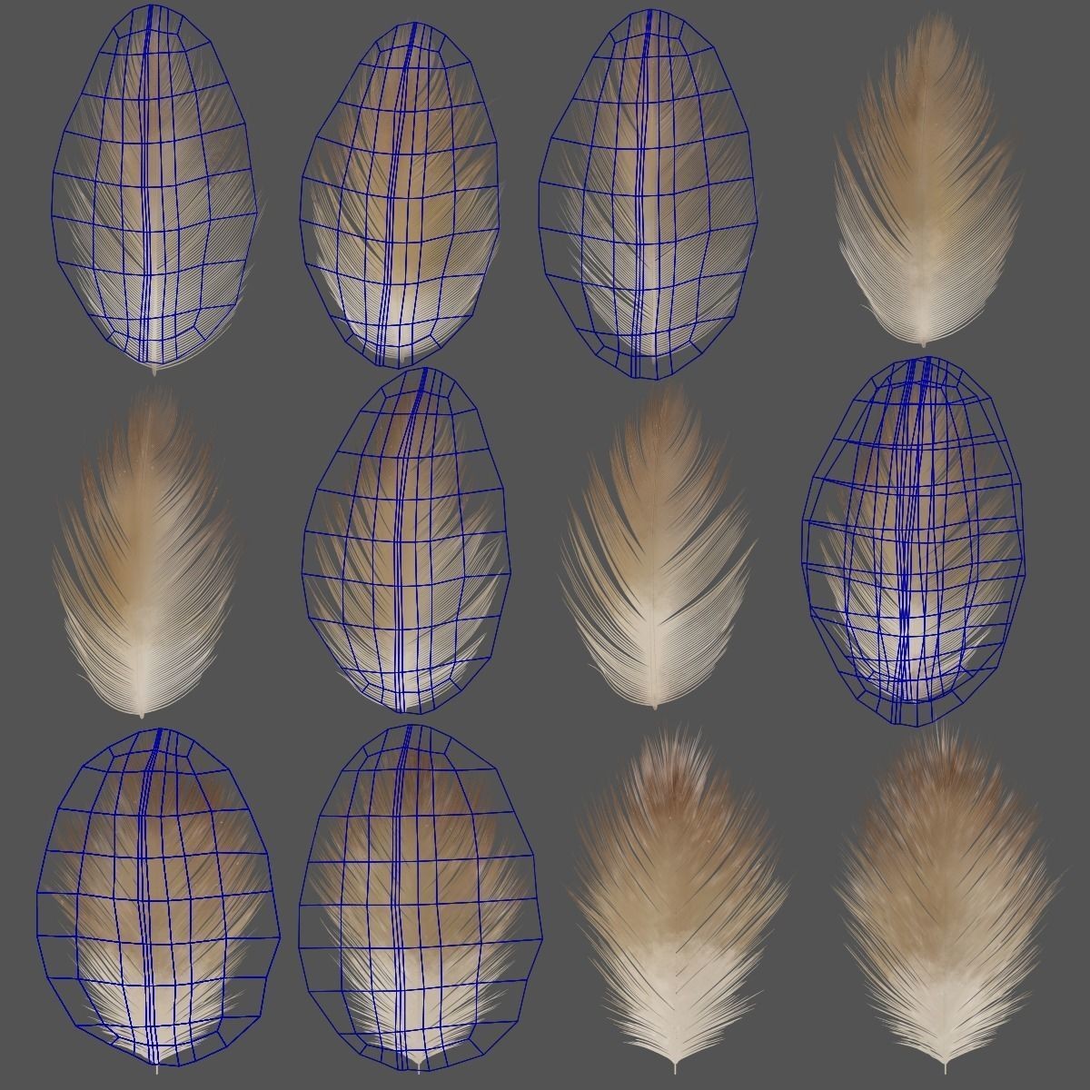 Aquila Nipalensis - Rigged Animated 3D Model - View 43