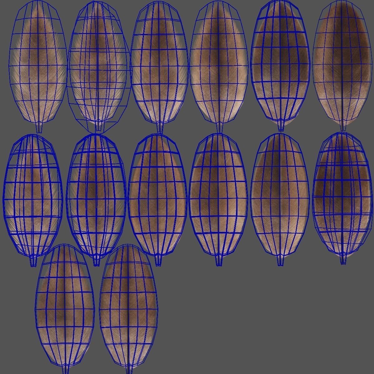 Aquila Nipalensis - Rigged Animated 3D Model - View 44